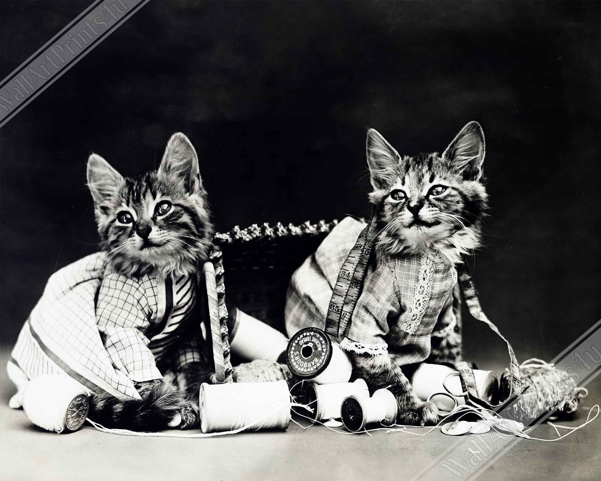 Vintage Cute Kitten Canvas Mischief Makers - Cute Kitten Cat Canvas Print - Vintage Cat Kitten Canvas - WallArtPrints4U