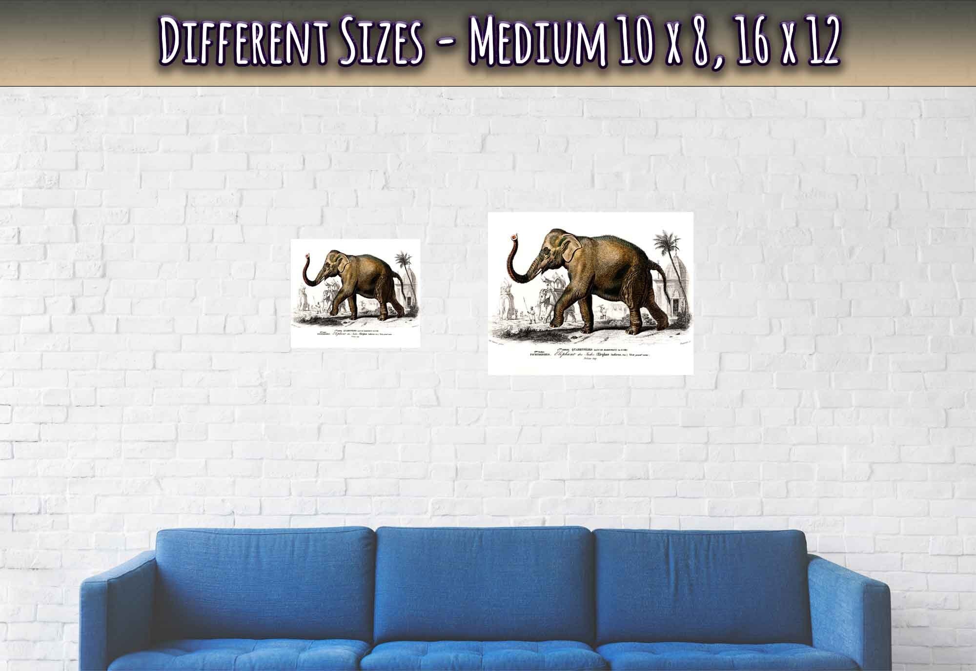 Vintage Elephant Poster, Charles Dessalines, Vintage Asiatic Elephant Art - Vintage Elephant Print - WallArtPrints4U