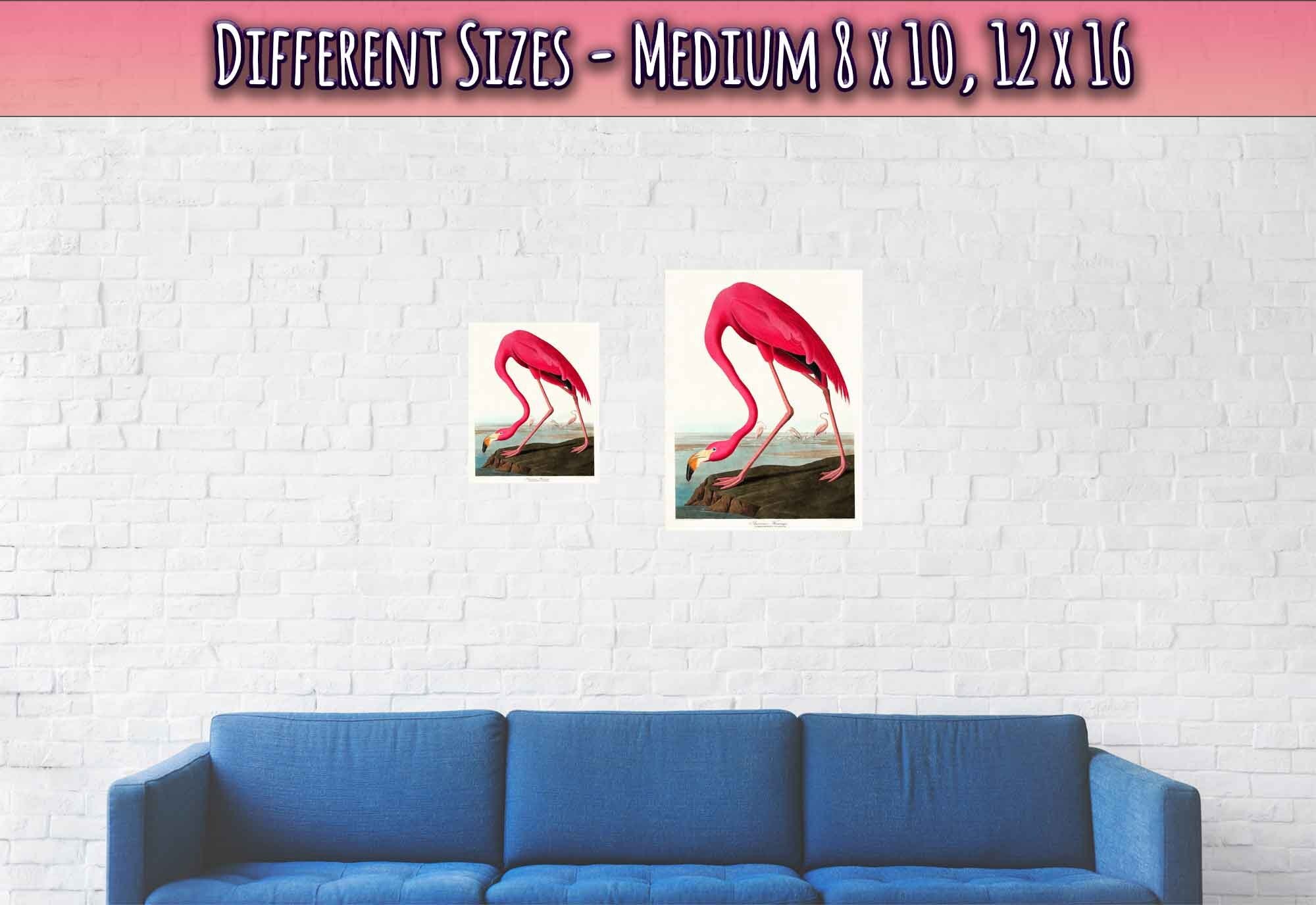 Vintage Flamingo Poster, John Audubon, Vintage Texian Flamingo Art - Vintage Flamingo Print - WallArtPrints4U