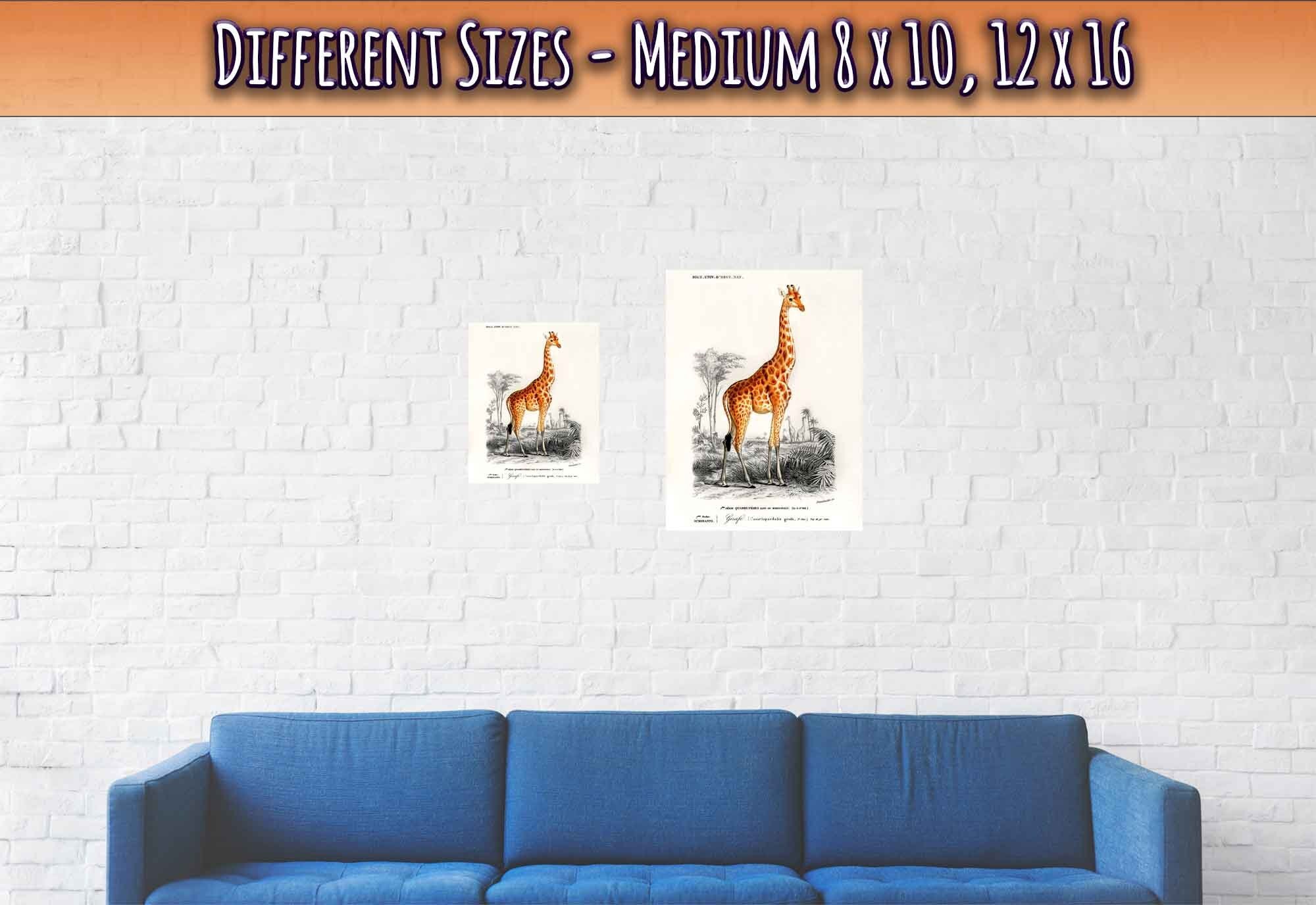 Vintage Giraffe Poster, Charles Dessalines, Vintage Giraffe Art - Vintage Giraffe Print - WallArtPrints4U