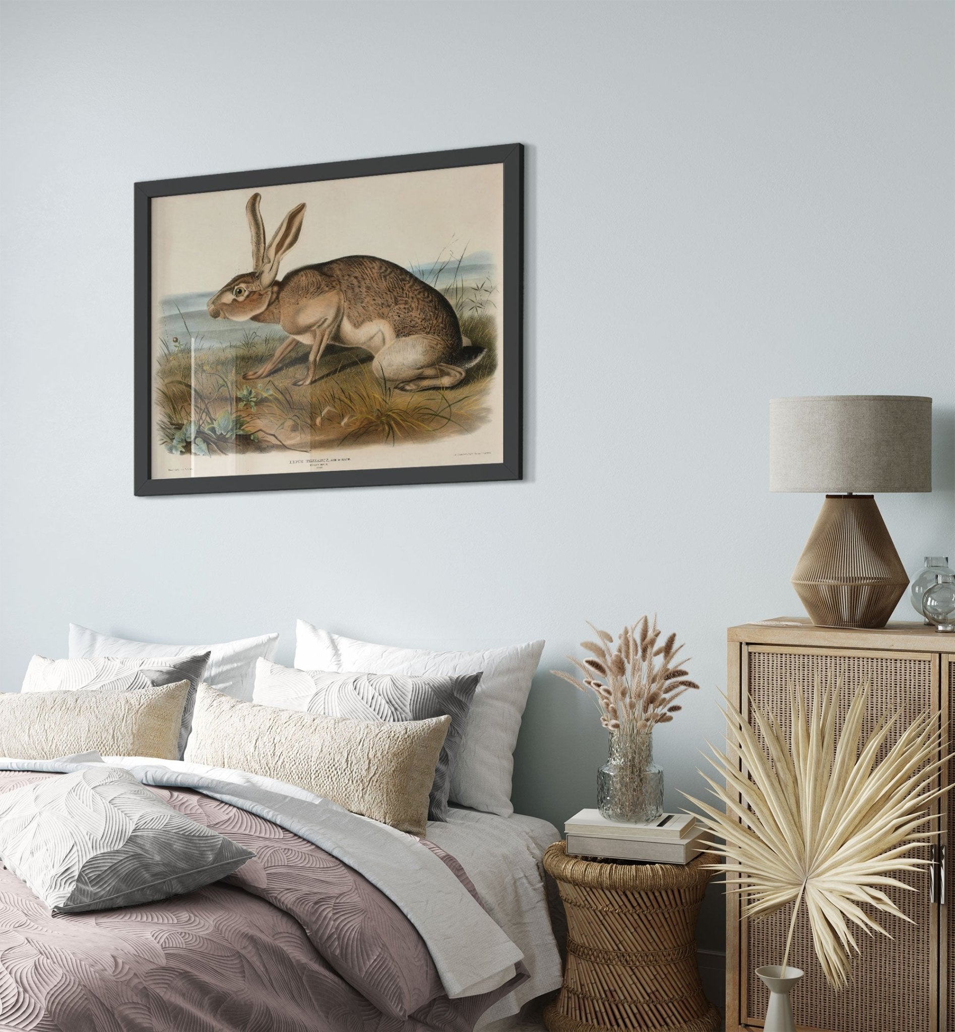 Vintage Hare Framed, John Audubon, Vintage Texian Hare Art - Vintage Hare Framed Print - WallArtPrints4U