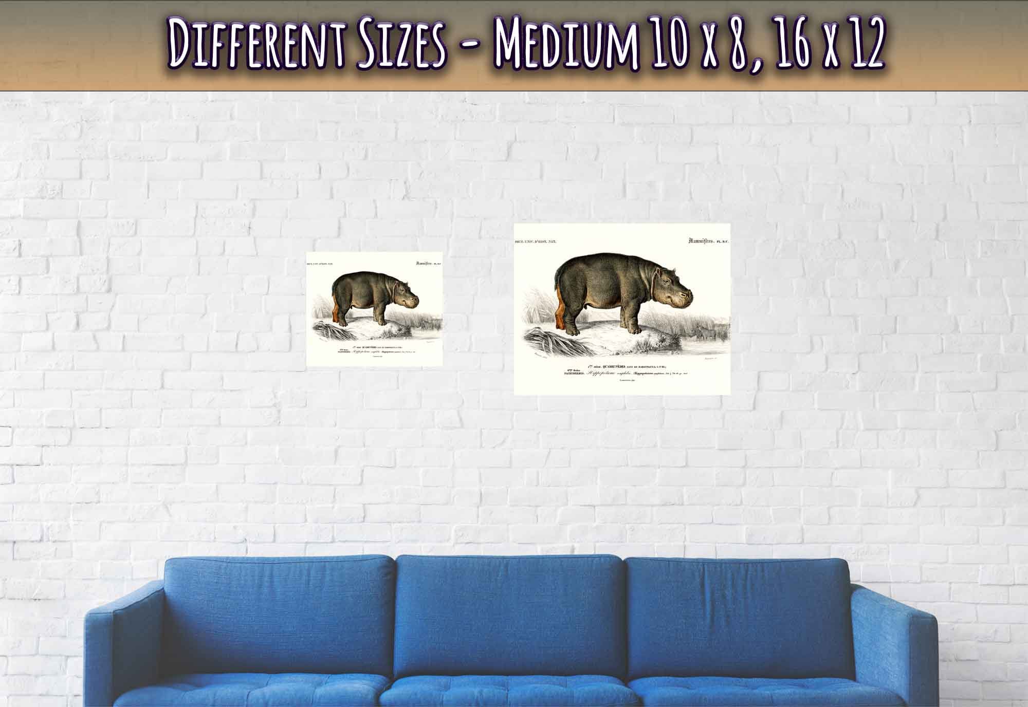 Vintage Hippo Poster, Charles Dessalines, Vintage Hippo Art - Vintage Hippo Print - WallArtPrints4U