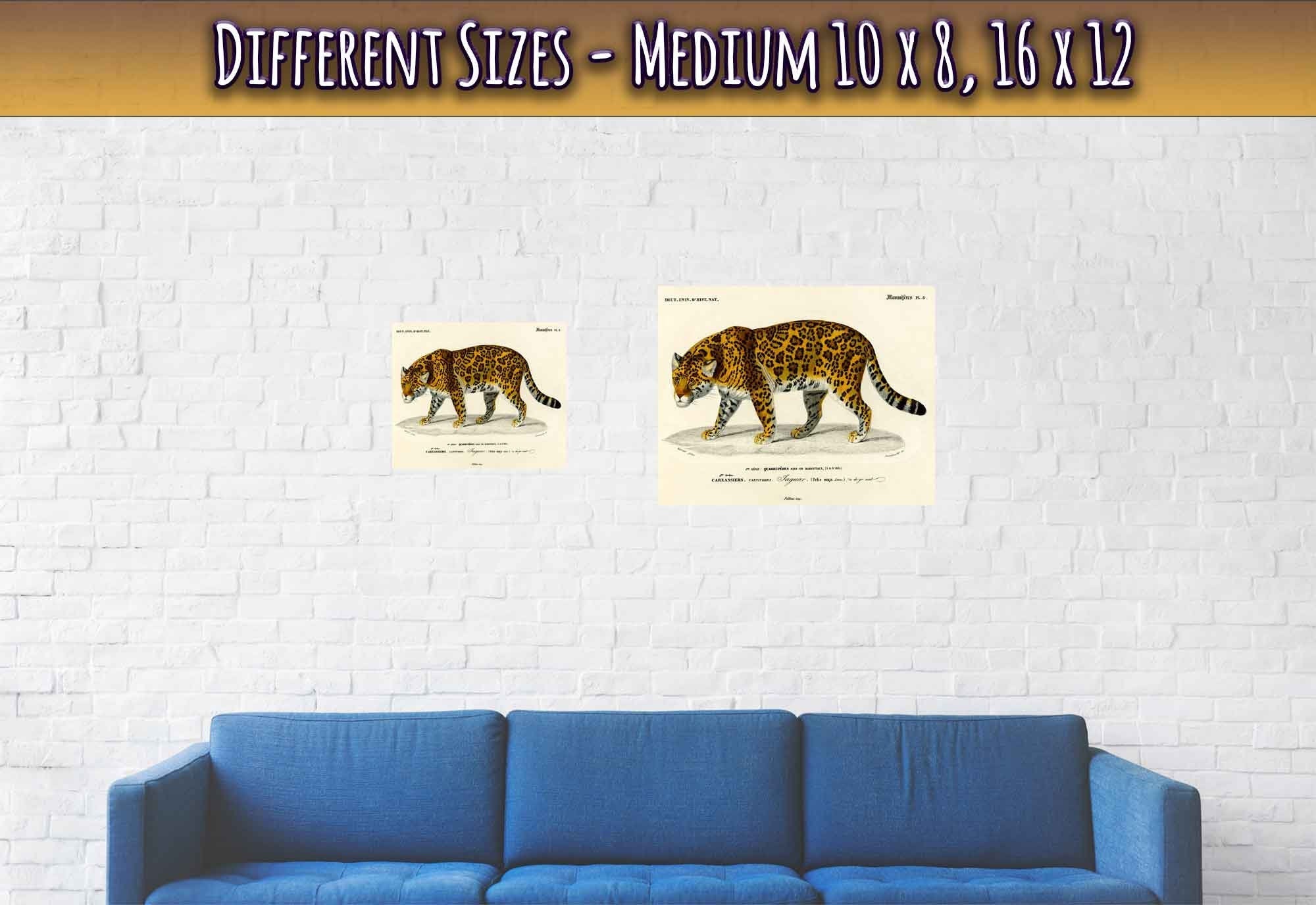 Vintage Jaguar Poster, Charles Dessalines, Vintage Big Cat Jaguar Art - Vintage Jaguar Print - WallArtPrints4U