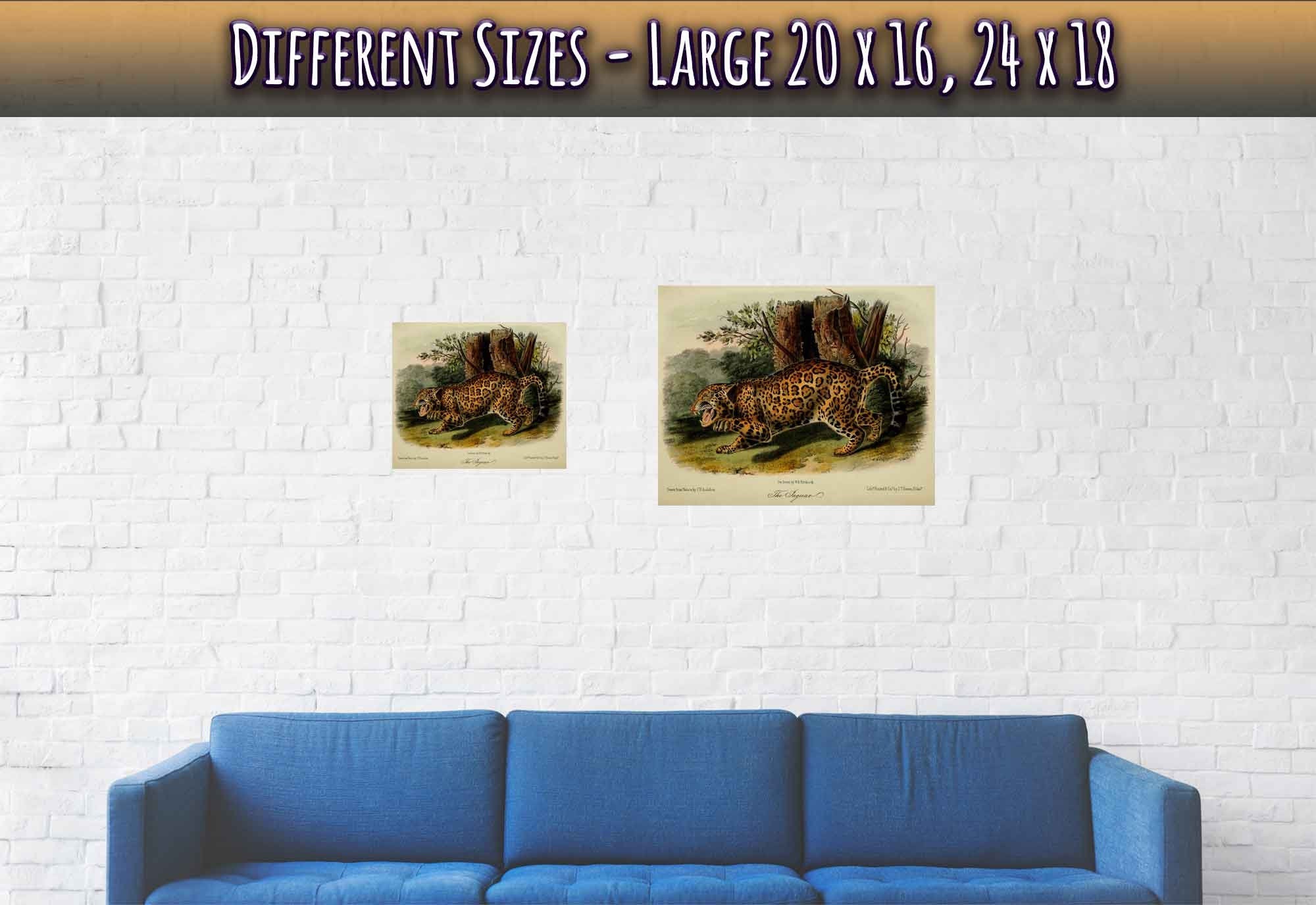 Vintage Jaguar Poster, John Audubon, Vintage Big Cat Jaguar Art - Vintage Jaguar Print - WallArtPrints4U
