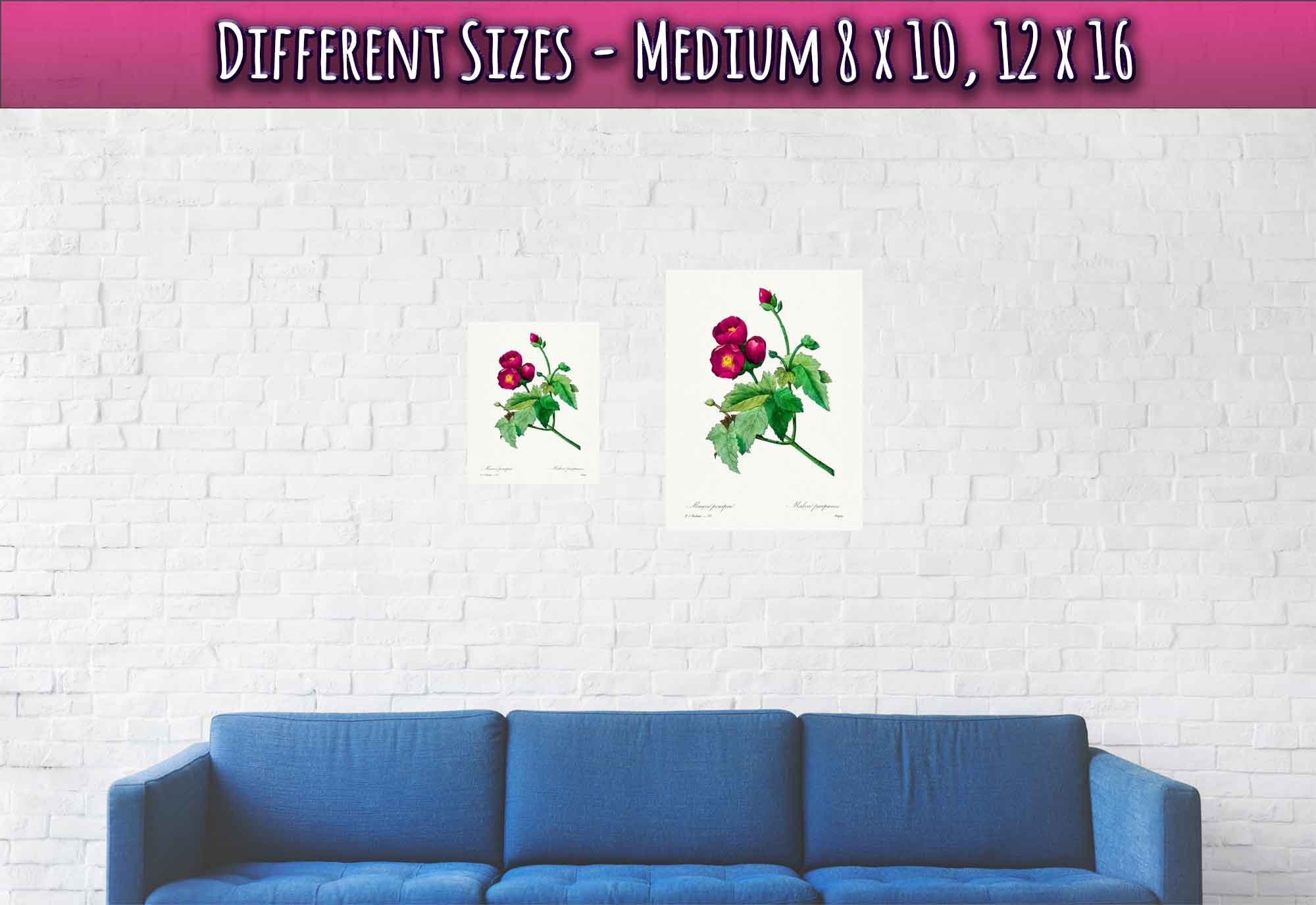 Vintage Purple Flower Poster - Flower Wall Art - Purple Mallow Botanical Illustration Pierre Joseph Redoute. - WallArtPrints4U