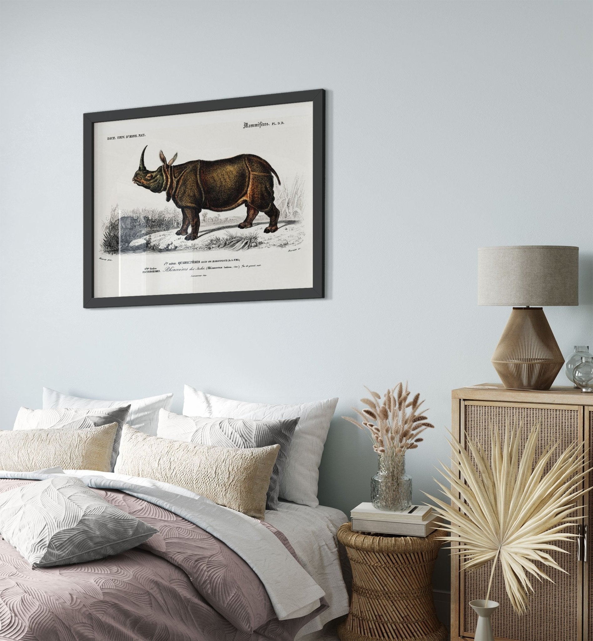 Vintage Rhino Framed, Charles Dessalines, Vintage Indian Rhinoceros Art - Vintage Rhino Framed Print - WallArtPrints4U