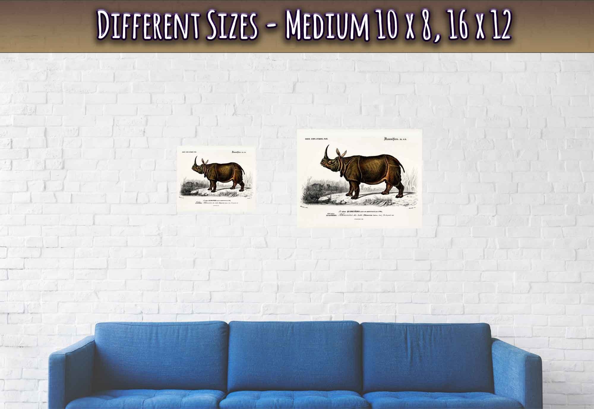 Vintage Rhino Poster, Charles Dessalines, Vintage Indian Rhinoceros Art - Vintage Rhino Print - WallArtPrints4U