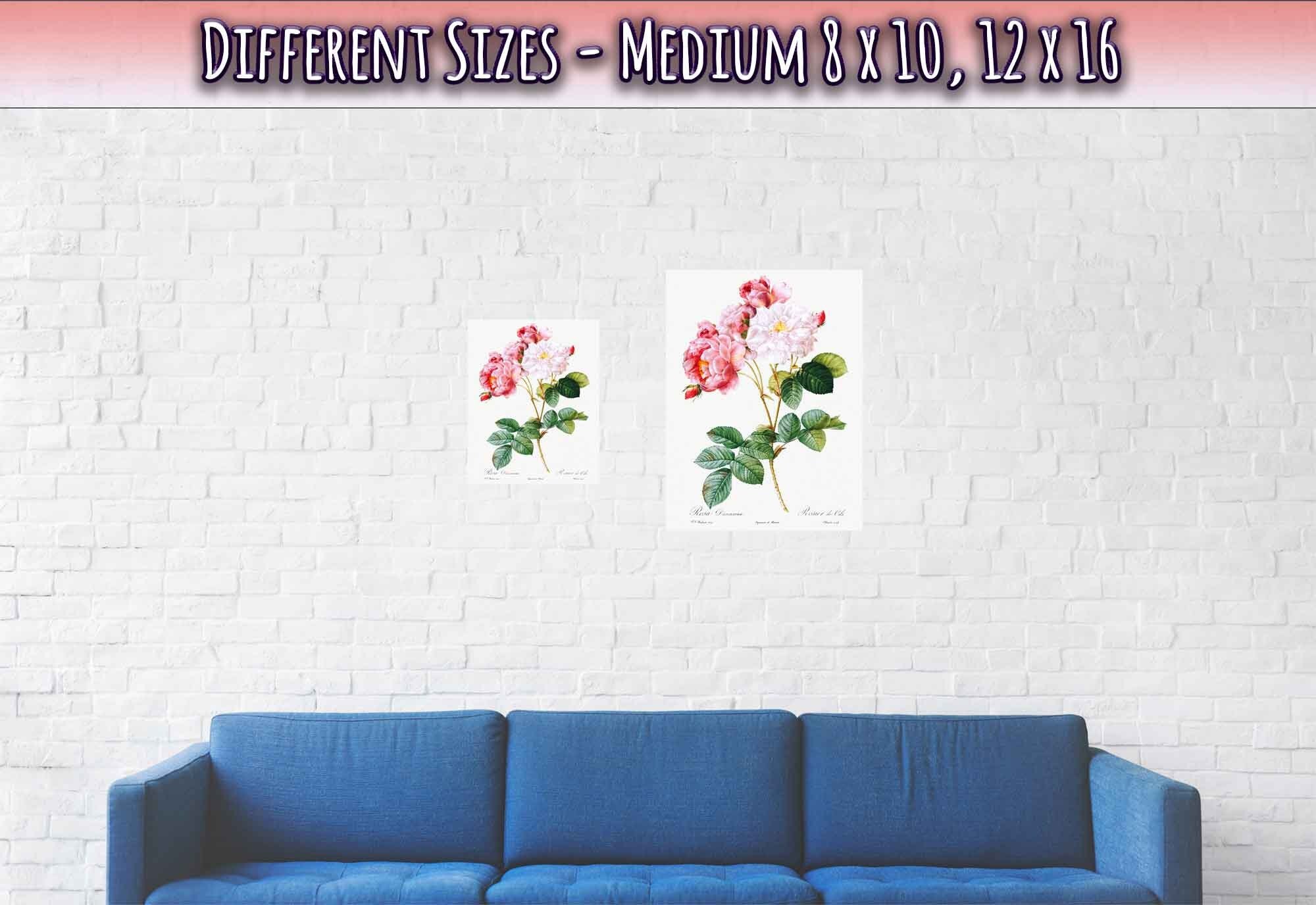 Vintage Rose Print - Flower Wall Art - Pierre Joseph Redoute Botanical Artist - WallArtPrints4U