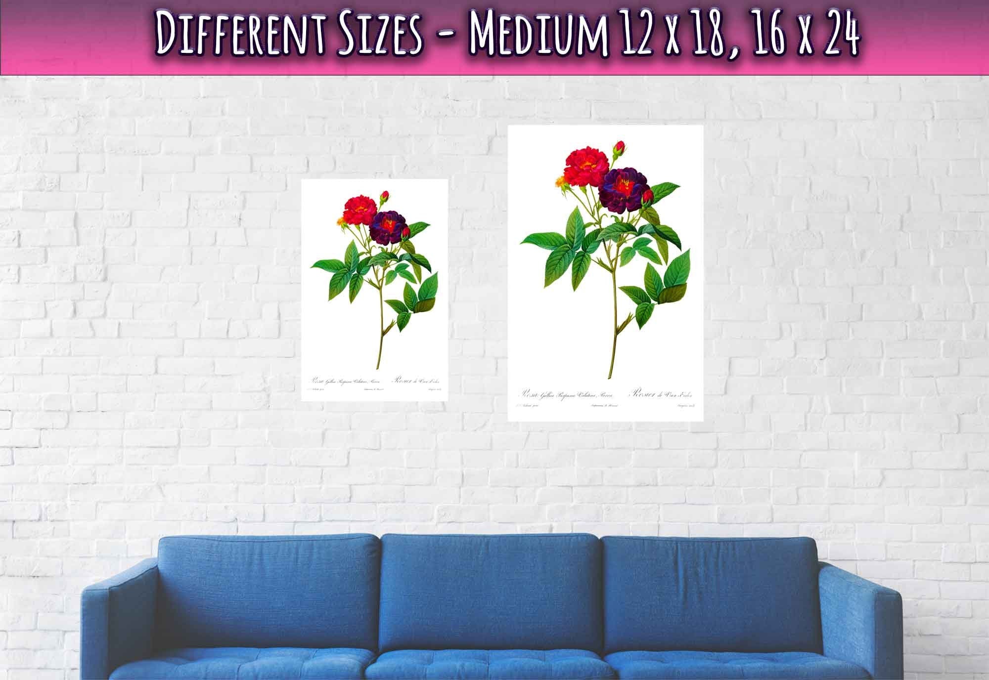 Vintage Rose Print - Flower Wall Art - Rosa Gallica Purpurea - Pierre Joseph Redoute Botanical Artist - WallArtPrints4U