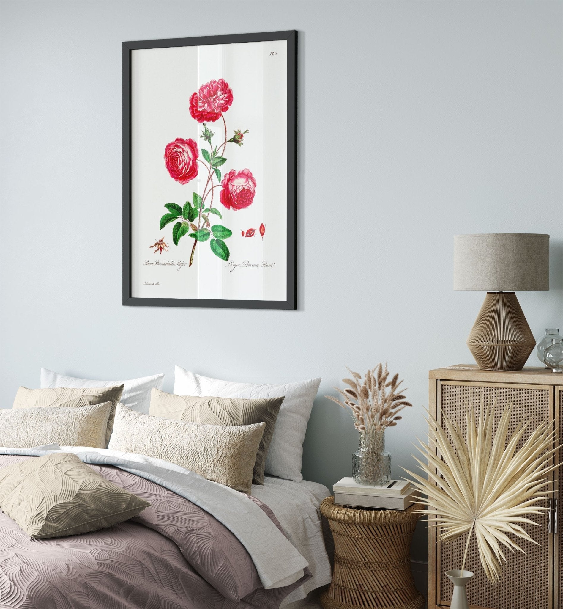 Vintage Rose Provence Framed - Flower Wall Art - John Edwards 1742 - 1815 - WallArtPrints4U