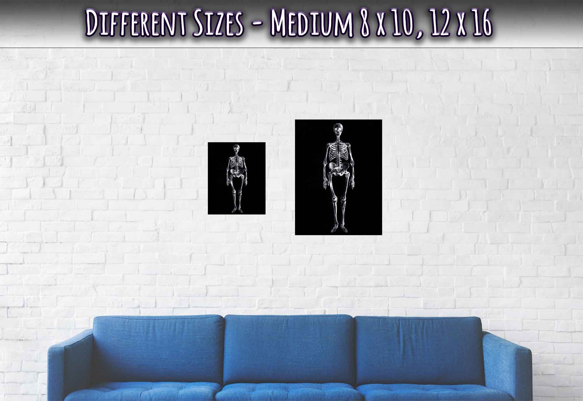 Vintage Skeleton Poster - Human Skeleton Print - George Stubbs - WallArtPrints4U