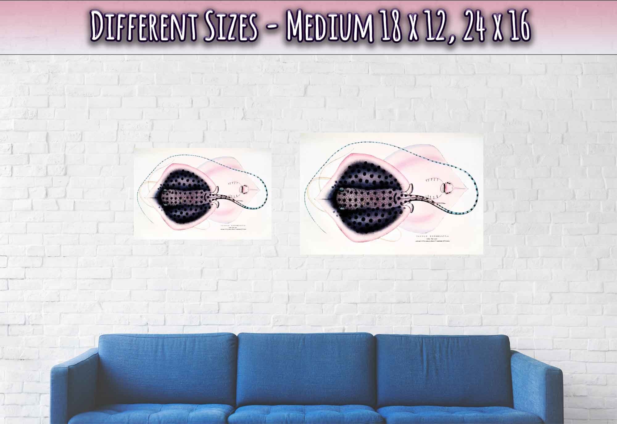 Vintage Stingray Print, John Gray , Vintage Stingray Poster - Stingray Wall Art Print - WallArtPrints4U