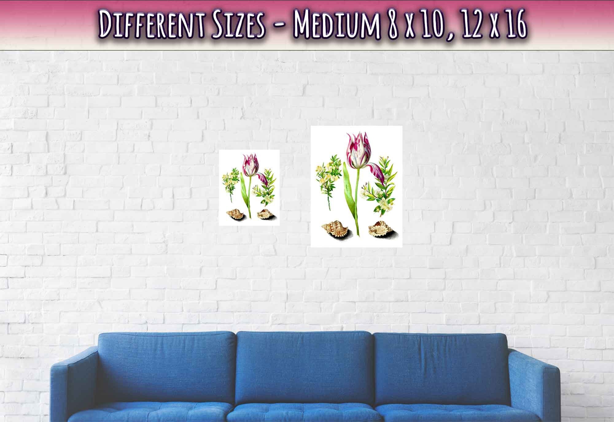 Vintage Tulip Print - Flower Wall Art - Maria Sibylla Merian Botanical Artist - WallArtPrints4U