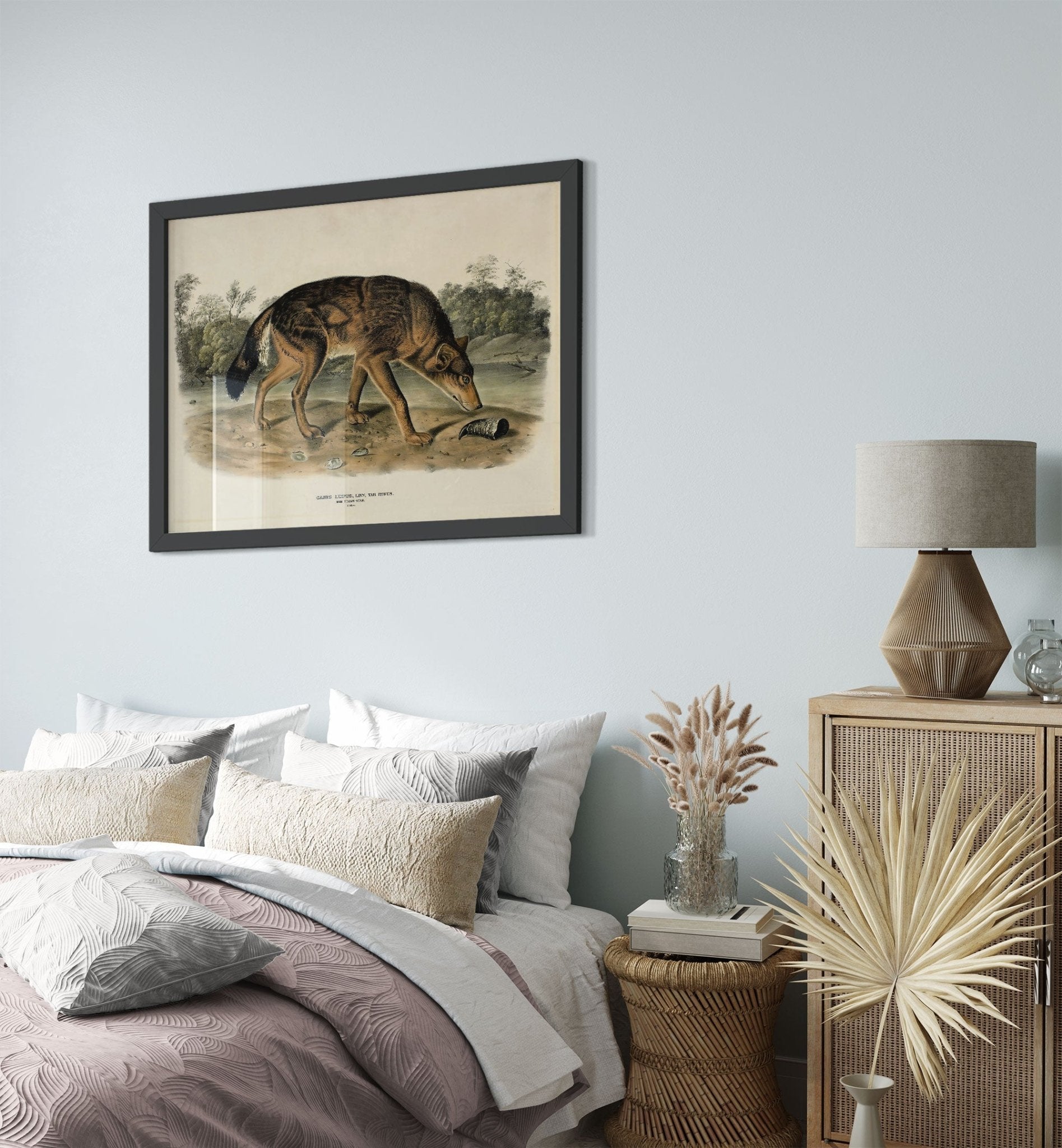Vintage Wolf Framed, John Woodhouse Audubon, Vintage Wolf Art - Vintage Wolf Framed Print - WallArtPrints4U