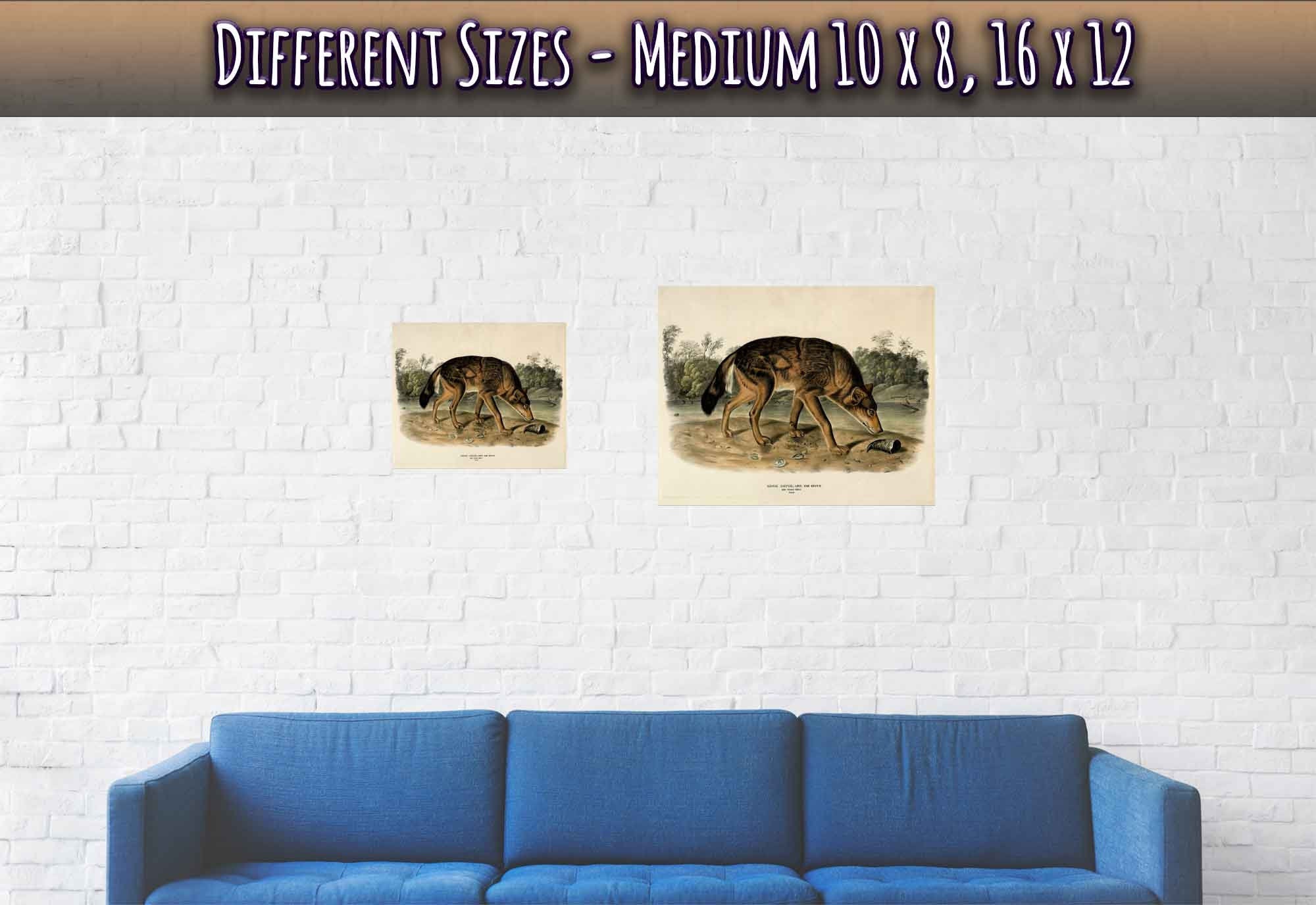 Vintage Wolf Poster, John Woodhouse Audubon, Vintage Wolf Art - Vintage Wolf Print - WallArtPrints4U