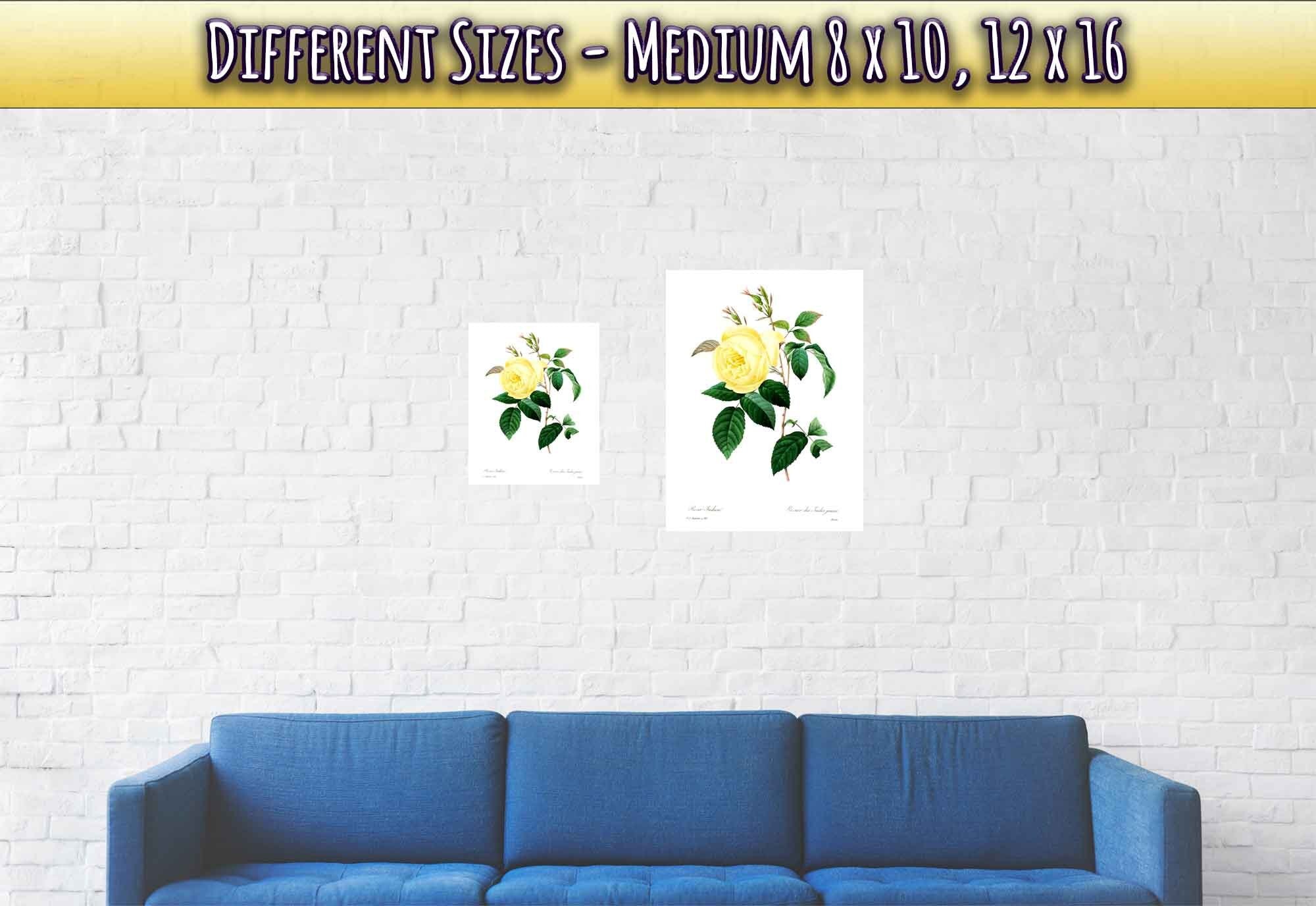 Vintage Yellow Rose Print - Flower Wall Art - Pierre Joseph Redoute Botanical Artist - WallArtPrints4U