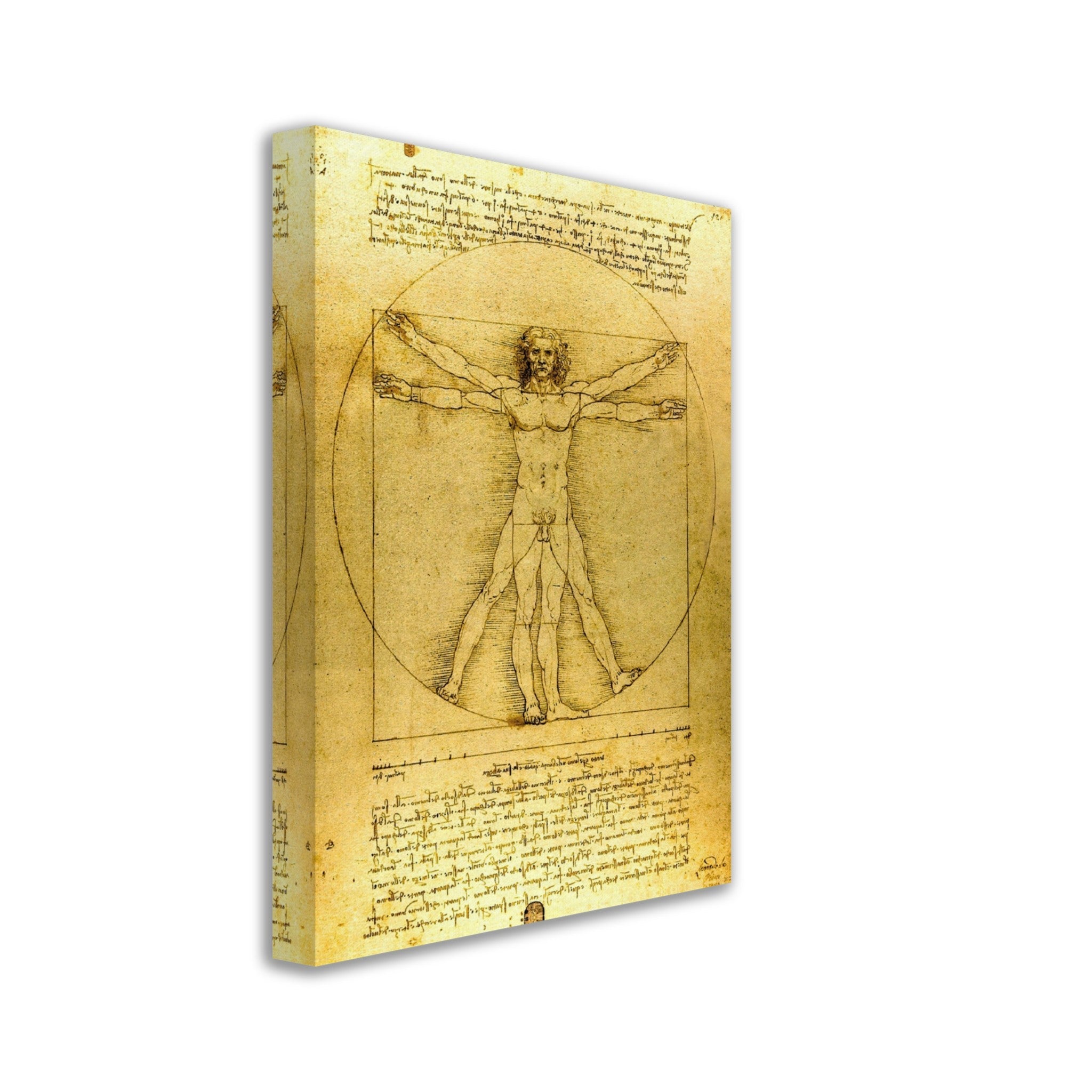 Vitruvian Man Canvas Print, Leonardo Da Vinci 1490, Vintage Vitruvian Man Canvas Print - WallArtPrints4U