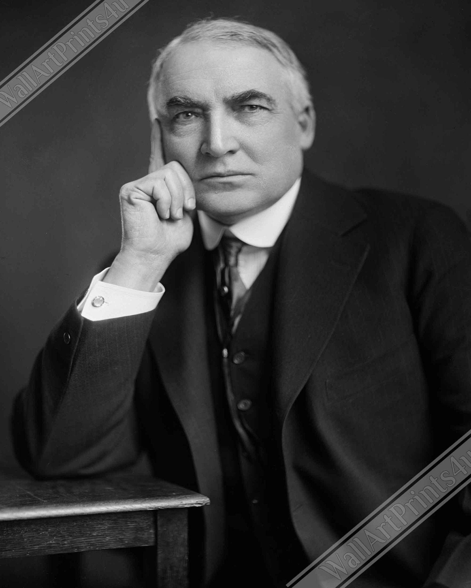 Warren Harding Framed, 29th President Of These United States, Vintage Photo Portrait - Warren Harding Framed Print - WallArtPrints4U
