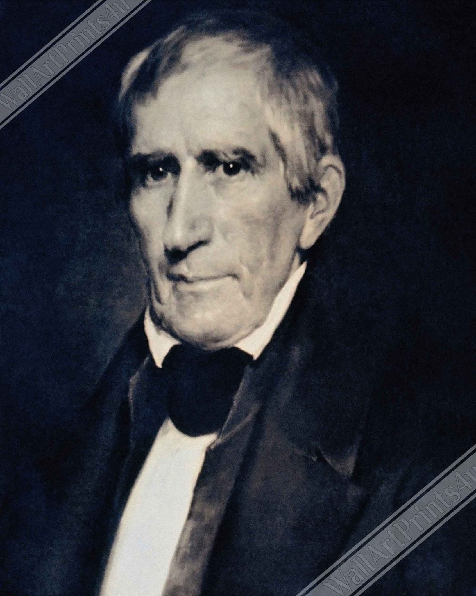 William Harrison Poster, 9th President Of Usa, Vintage Portrait - William Harrison Print - WallArtPrints4U