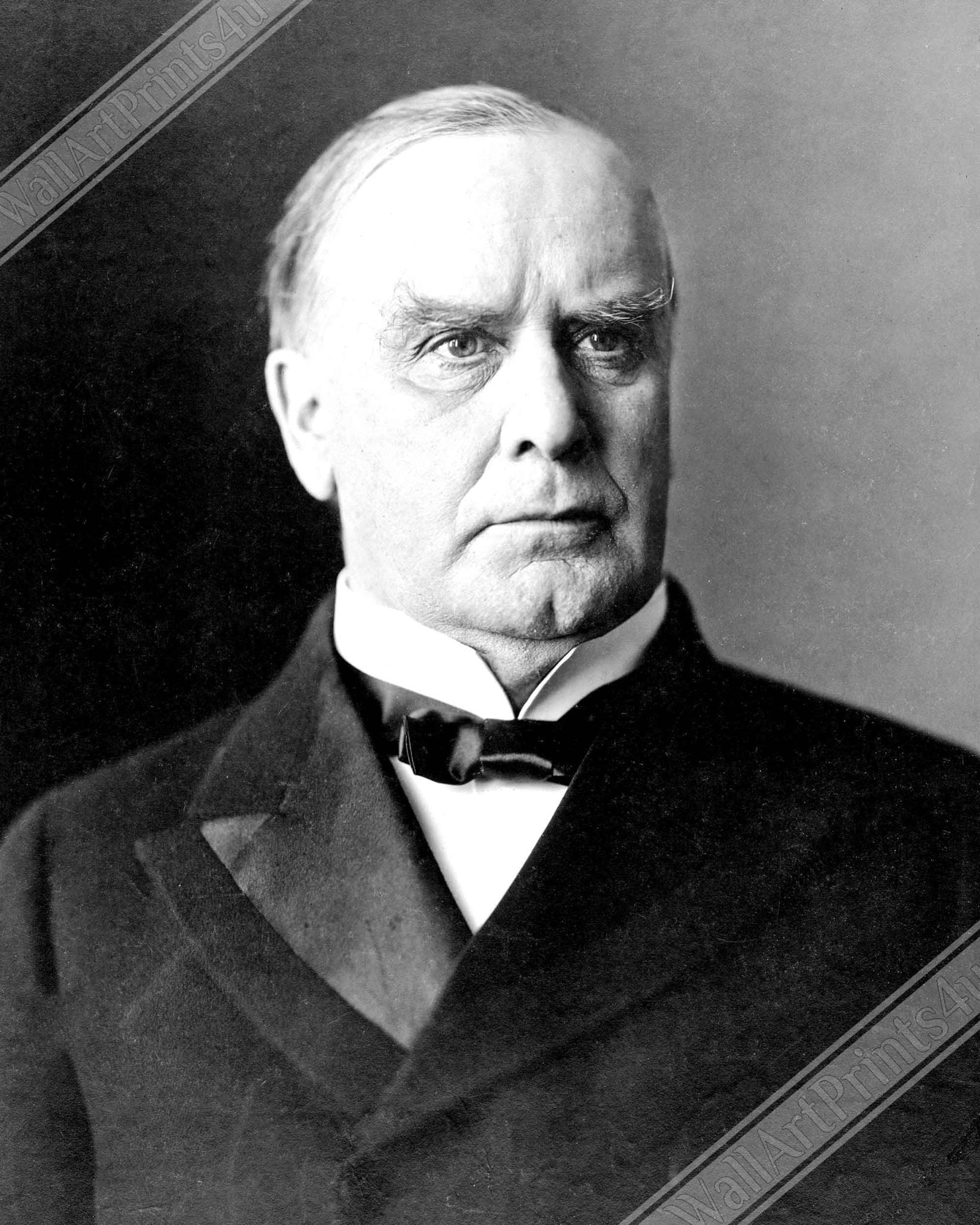 William Mckinley Poster, 25th President Of Usa, Vintage Photo Portrait - William Mckinley Print - WallArtPrints4U