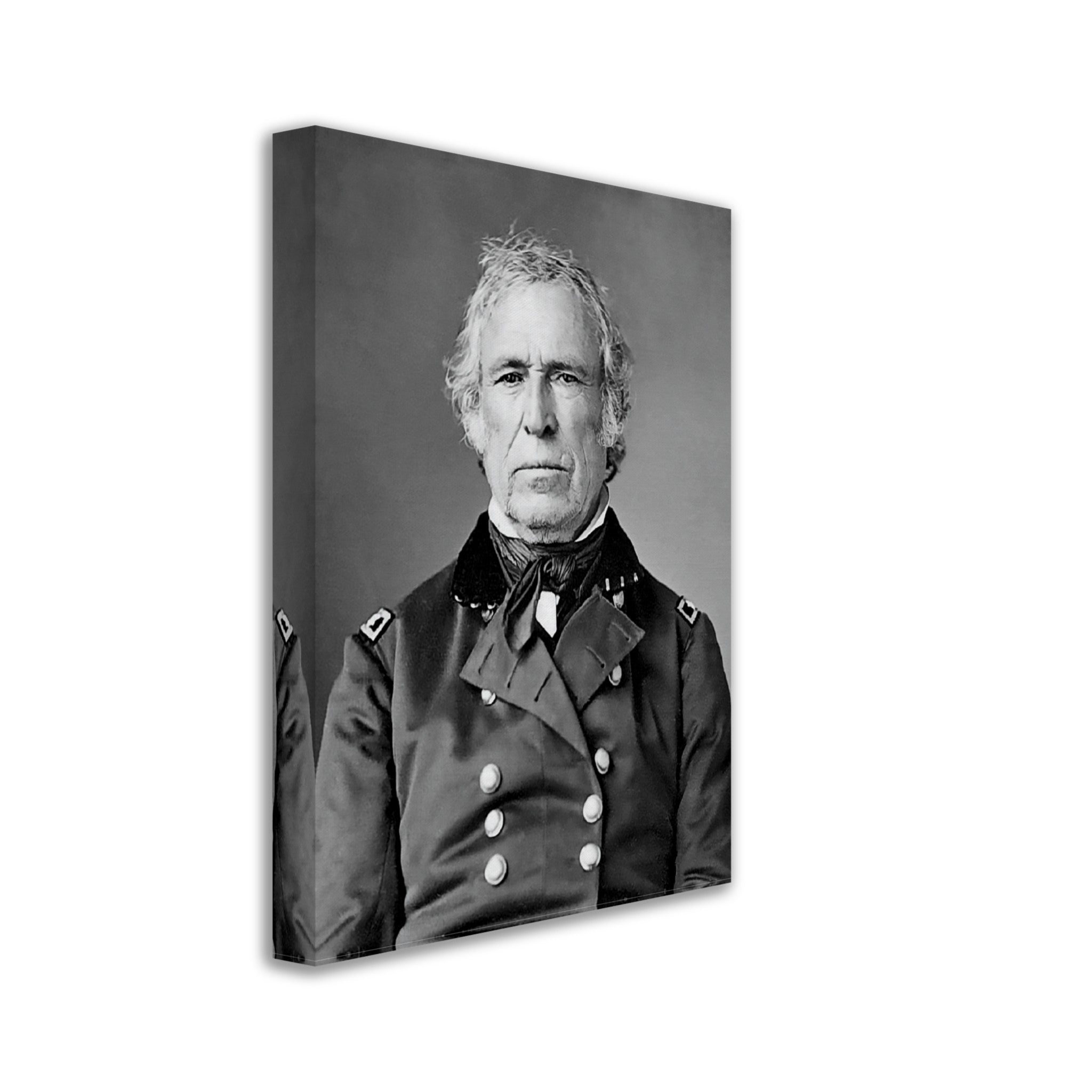 Zachary Taylor Canvas, 12th President Of Usa, Vintage Portrait - Zachary Taylor Canvas Print - WallArtPrints4U