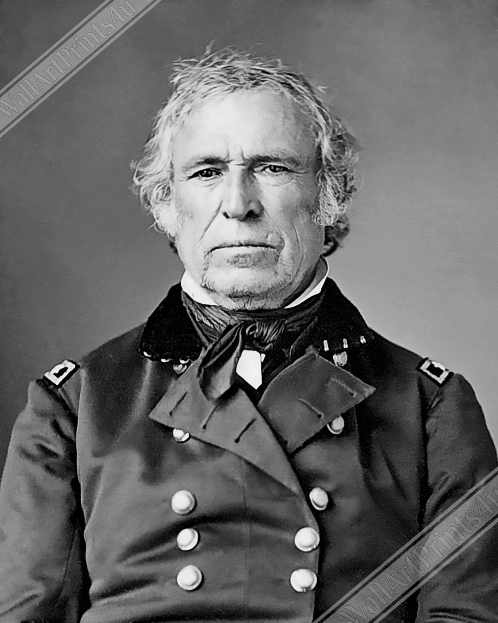 Zachary Taylor Poster, 12th President Of Usa, Vintage Portrait - Zachary Taylor Print - WallArtPrints4U