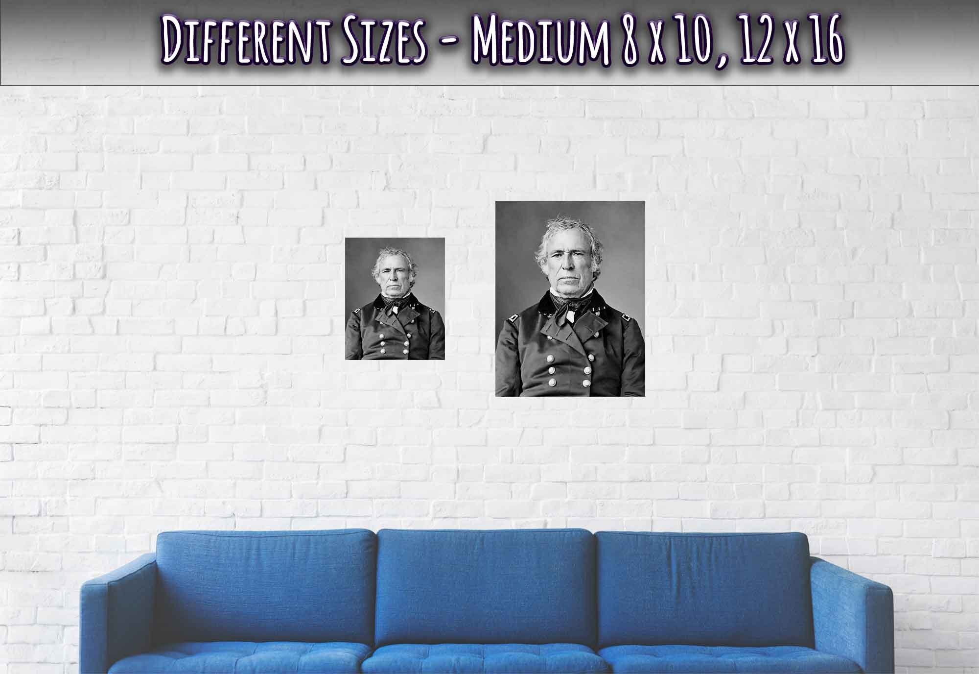 Zachary Taylor Poster, 12th President Of Usa, Vintage Portrait - Zachary Taylor Print - WallArtPrints4U