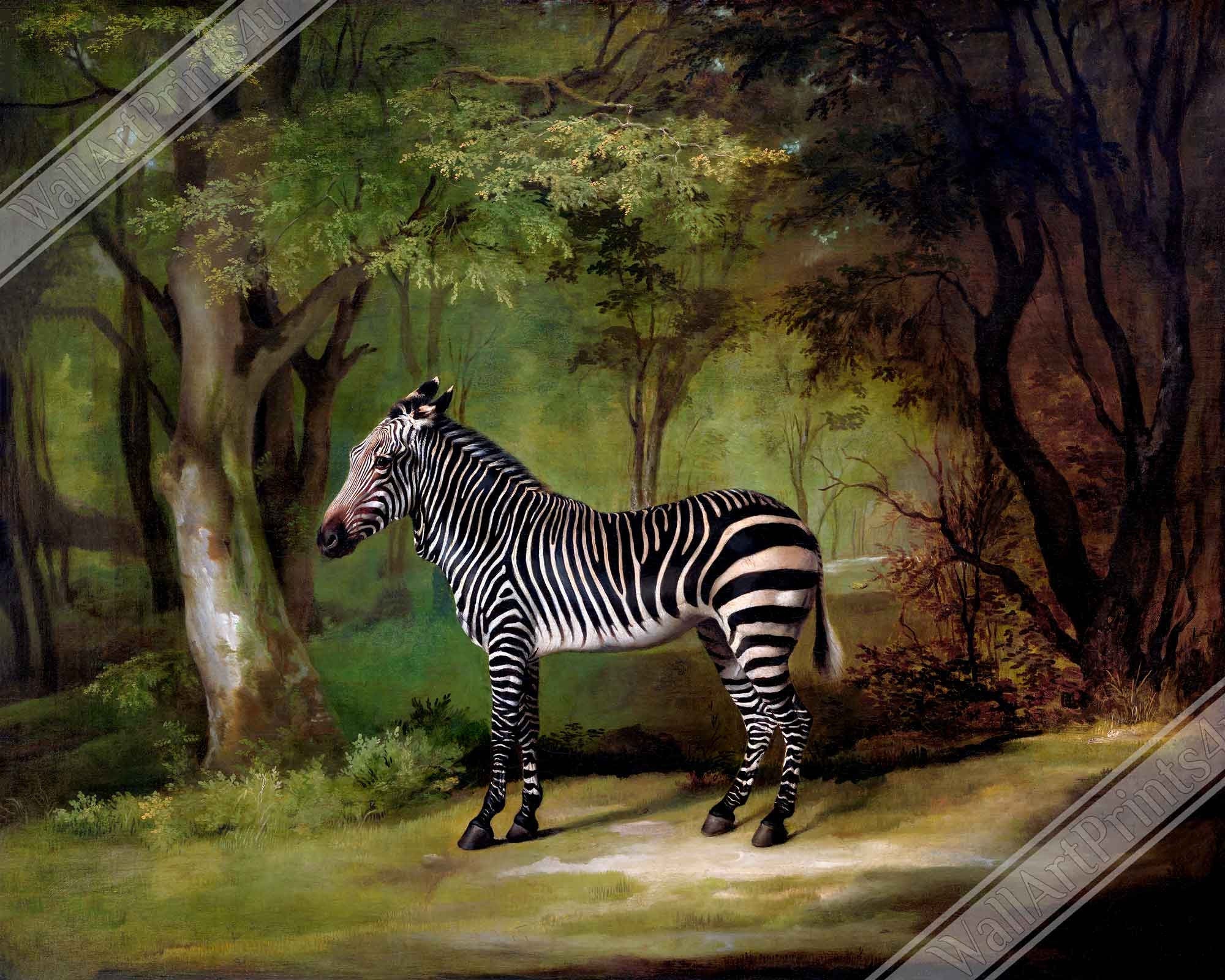 Zebra Canvas, Vintage Zebra Art - Vintage Zebra Canvas Print - WallArtPrints4U