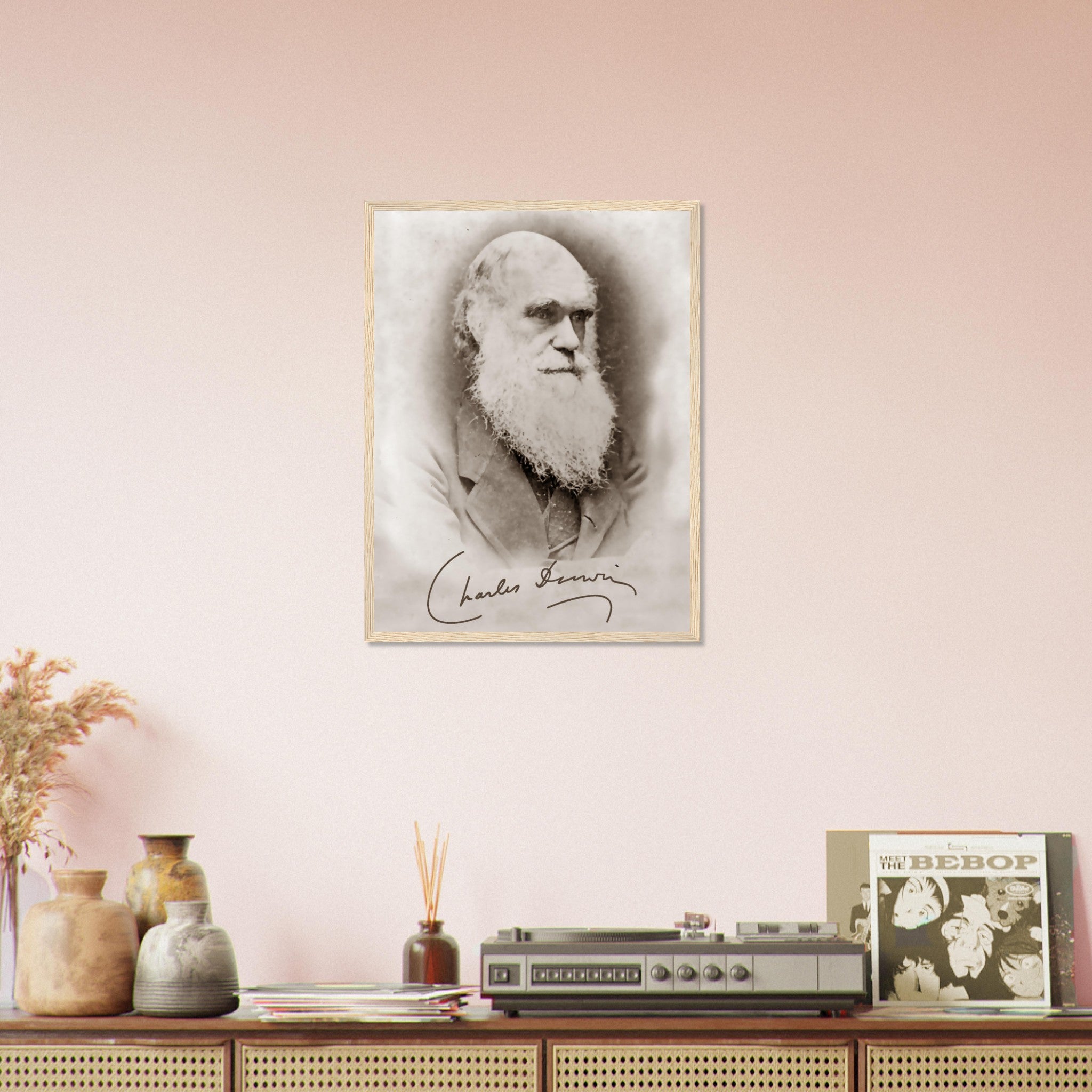 Charles Darwin enmarcado, fotografía vintage de la teoría de la evolución con firma de Charles Darwin