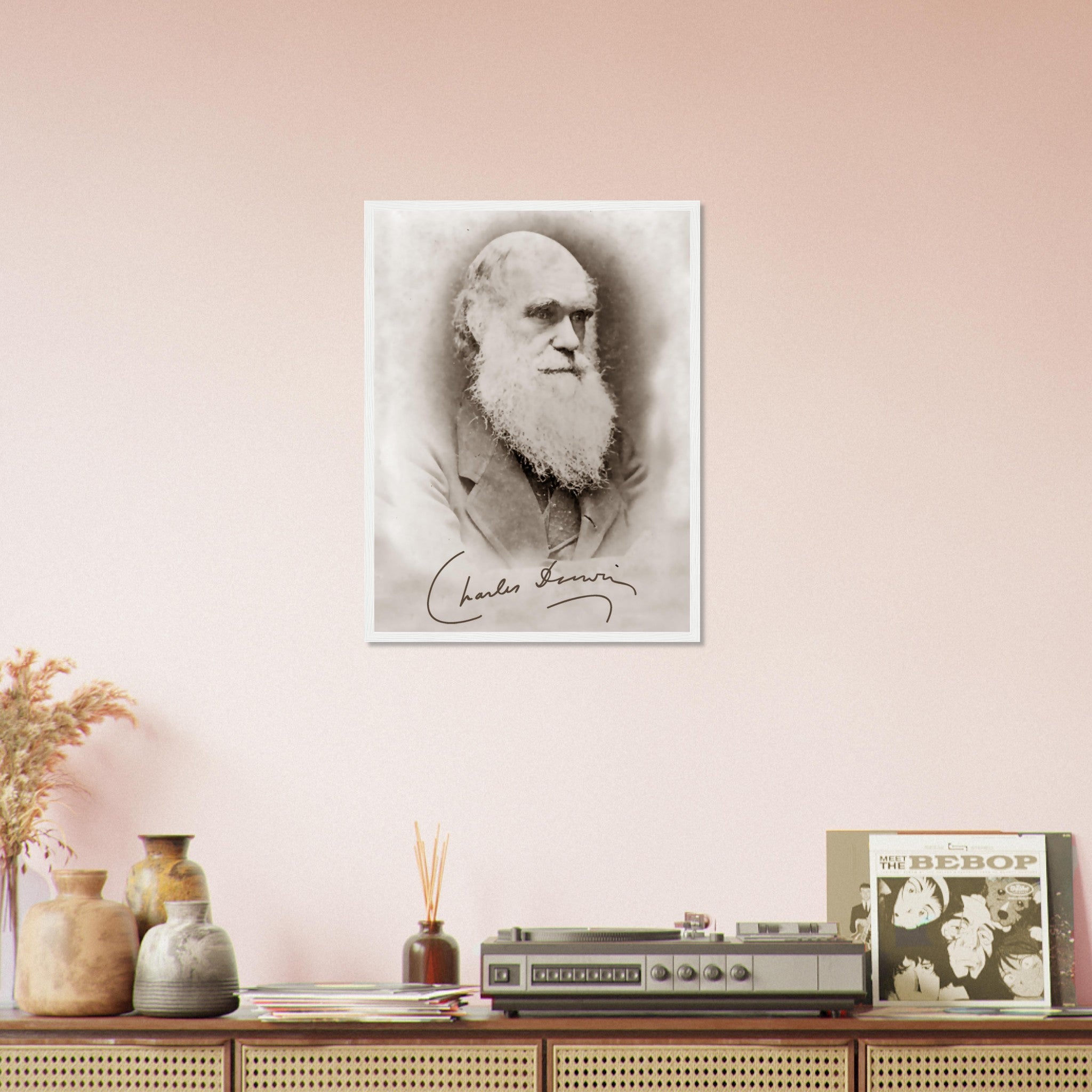 Charles Darwin enmarcado, fotografía vintage de la teoría de la evolución con firma de Charles Darwin