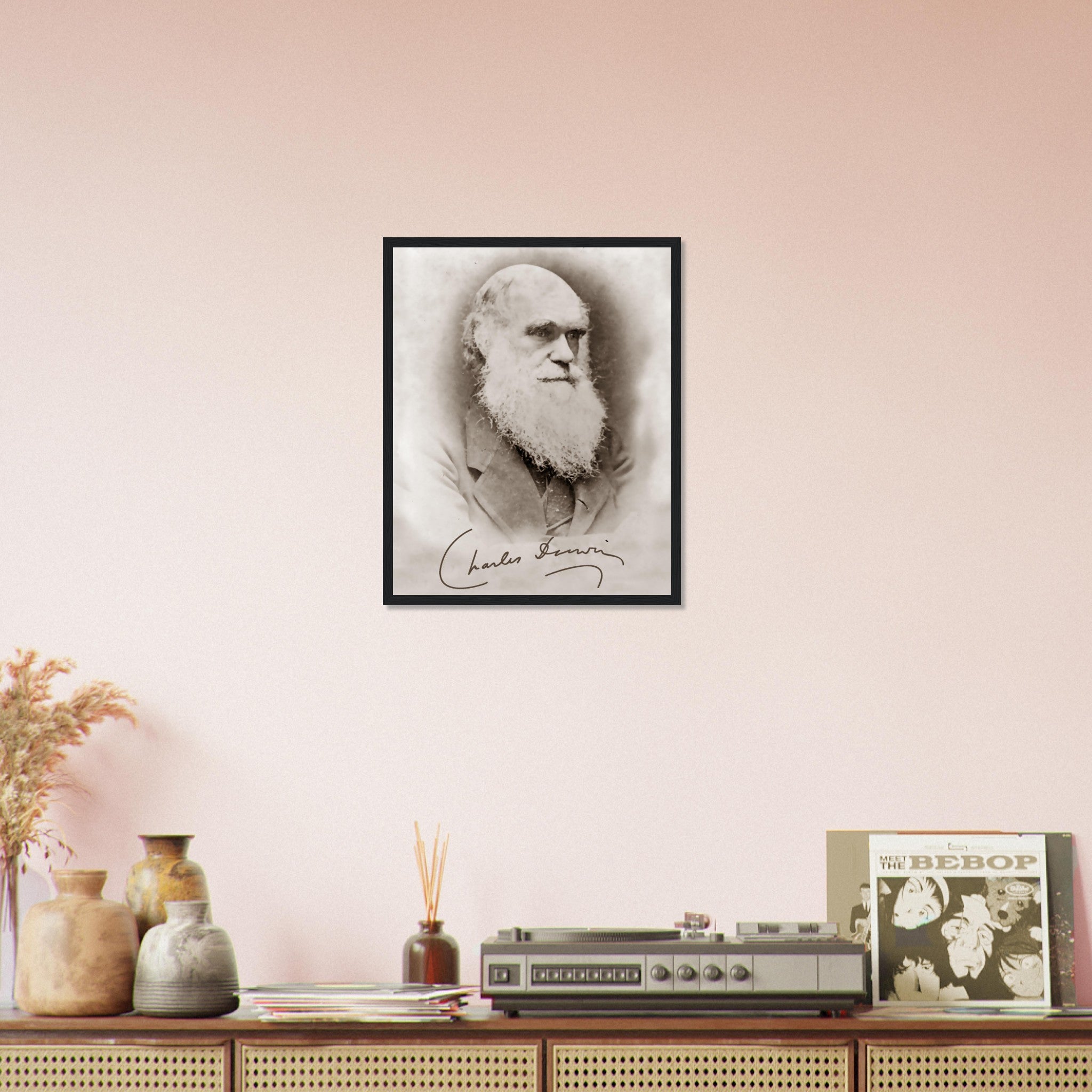 Charles Darwin enmarcado, fotografía vintage de la teoría de la evolución con firma de Charles Darwin