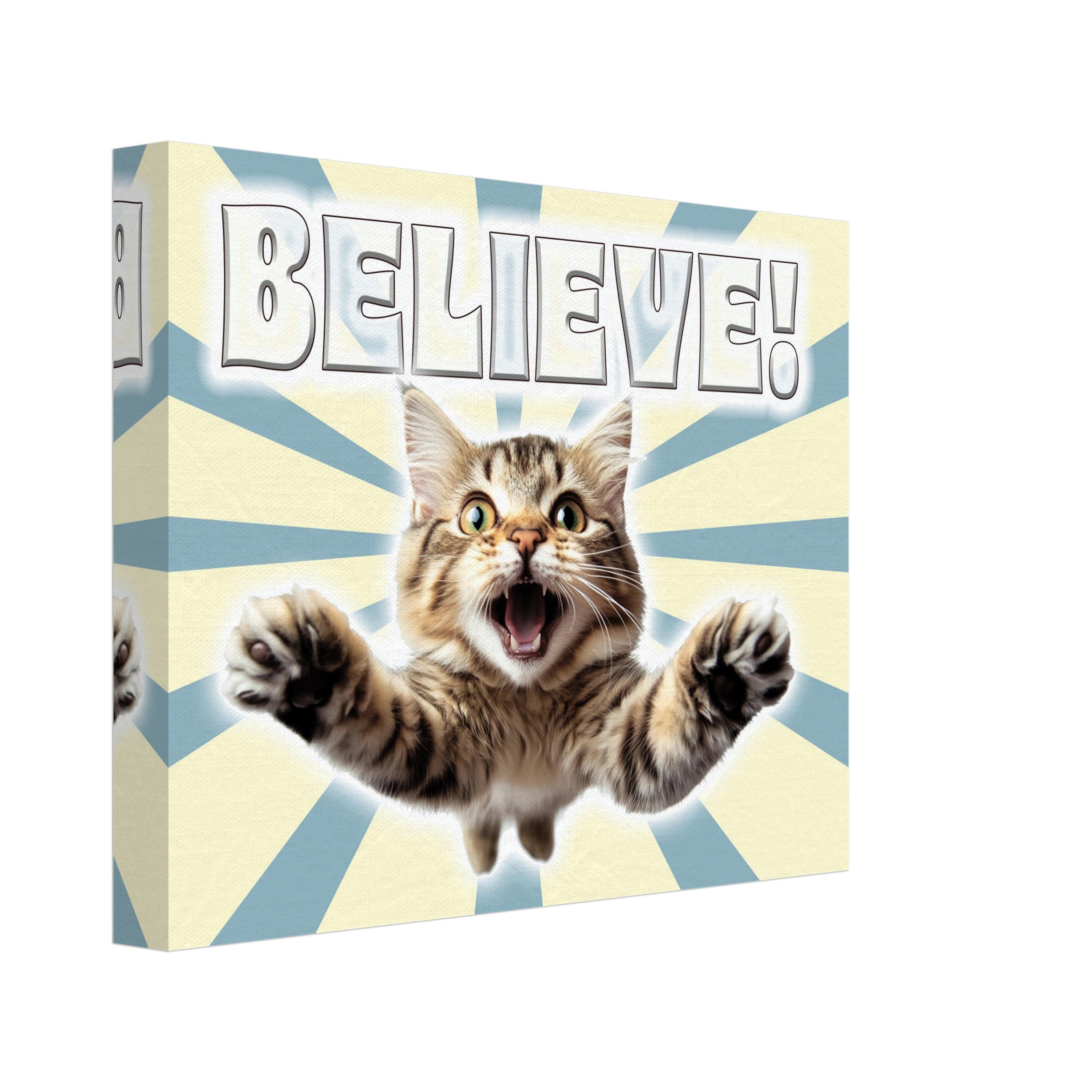 a picture of a cat with the words believe on it