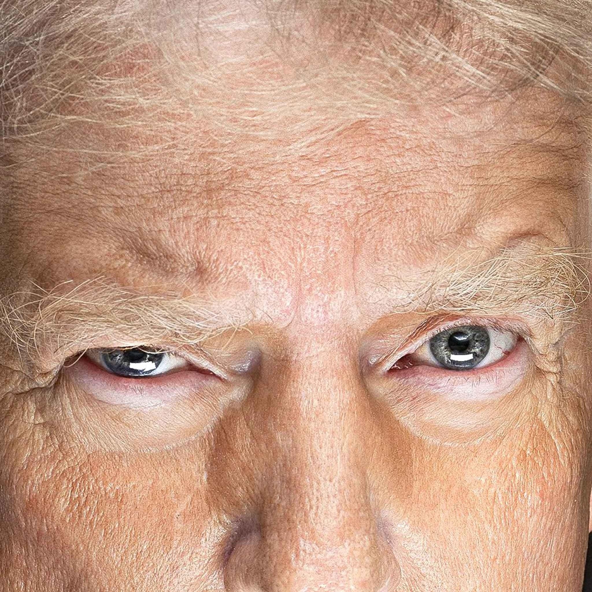 Donald Trump Poster Presidential Portrait 47th President Patriotic USA Wall Art Gift - WallArtPrints4U