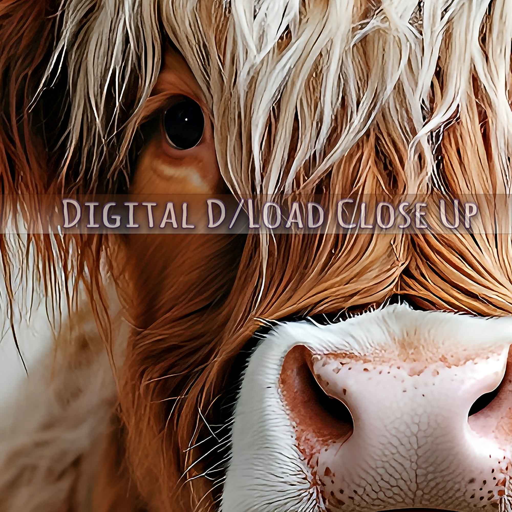 Highland Cow Digital Art Download Rustic Boho Animal Decor with Flower Crown - WallArtPrints4U