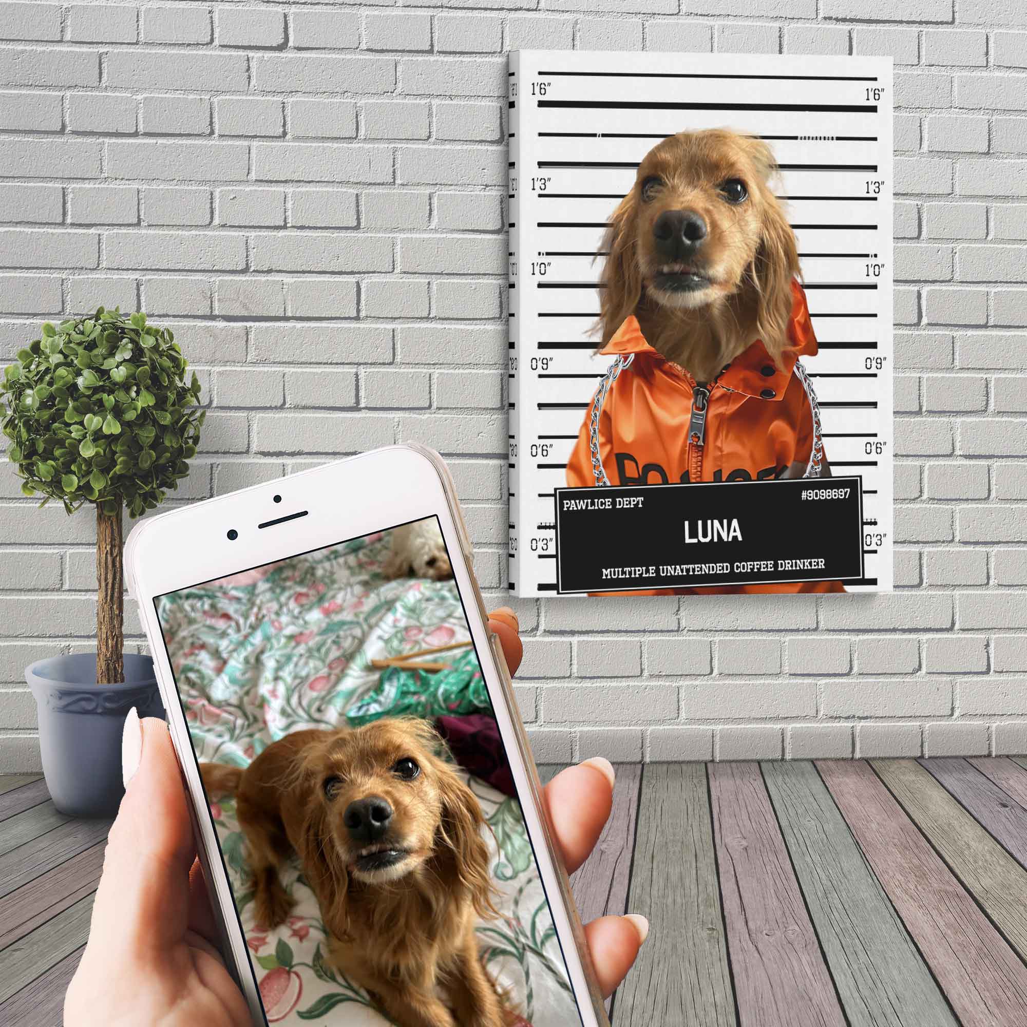 Medium Dog Police Mugshot Portrait Canvas Custom Print, Pet Criminal Canvas - WallArtPrints4U