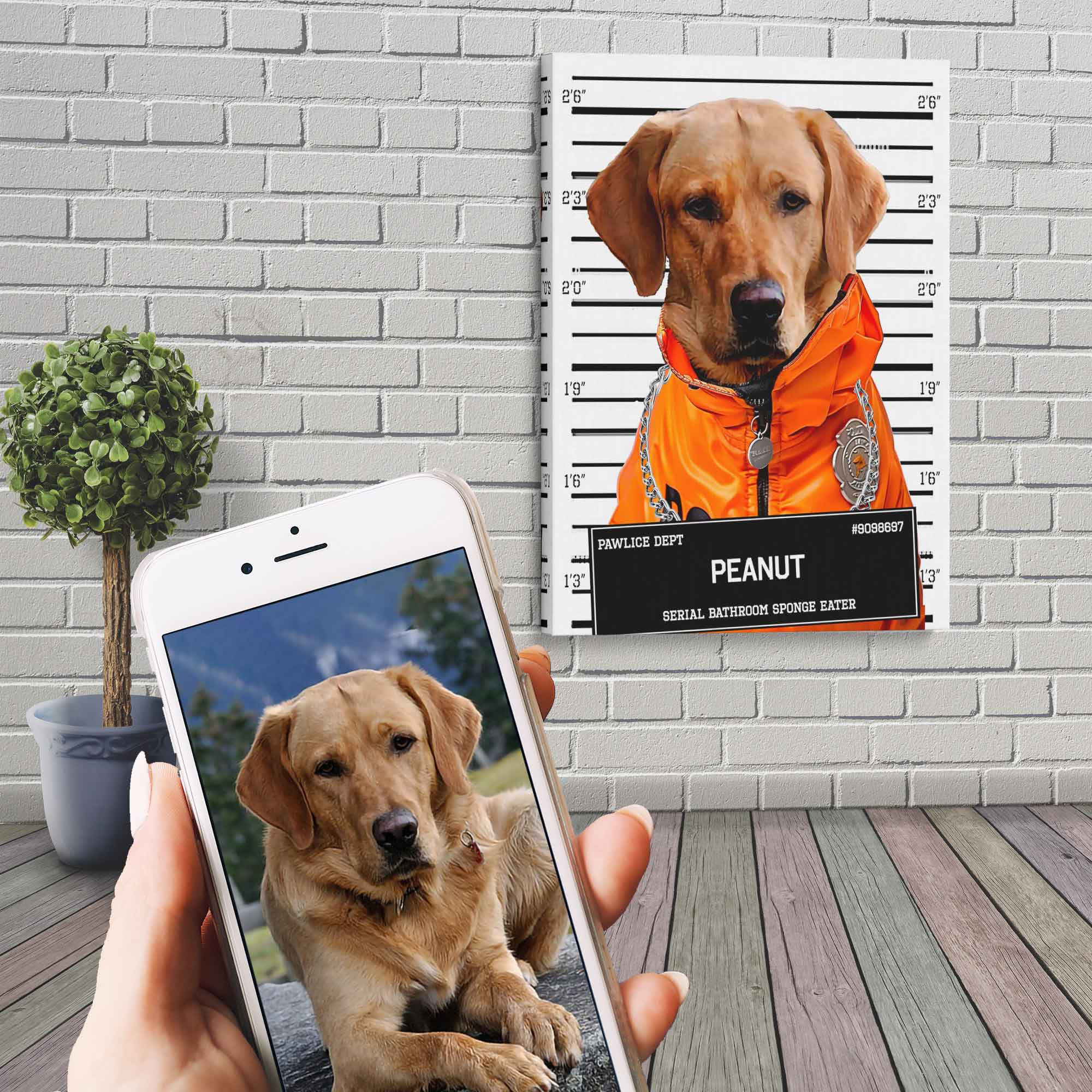 Medium Dog Police Mugshot Portrait Canvas Custom Print, Pet Criminal Canvas - WallArtPrints4U