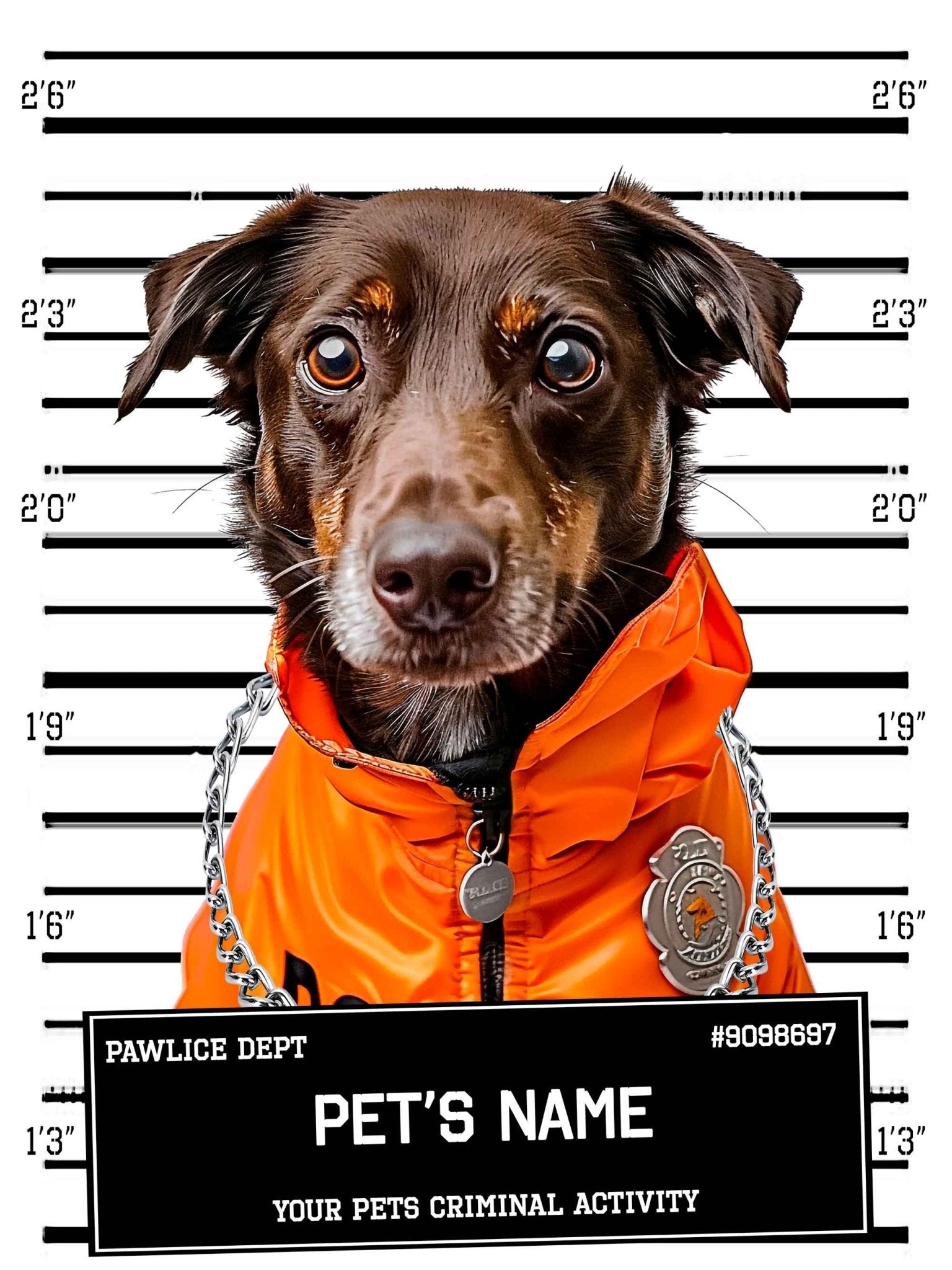 Medium Dog Police Mugshot Portrait Poster Custom Print, Pet Criminal Poster - WallArtPrints4U