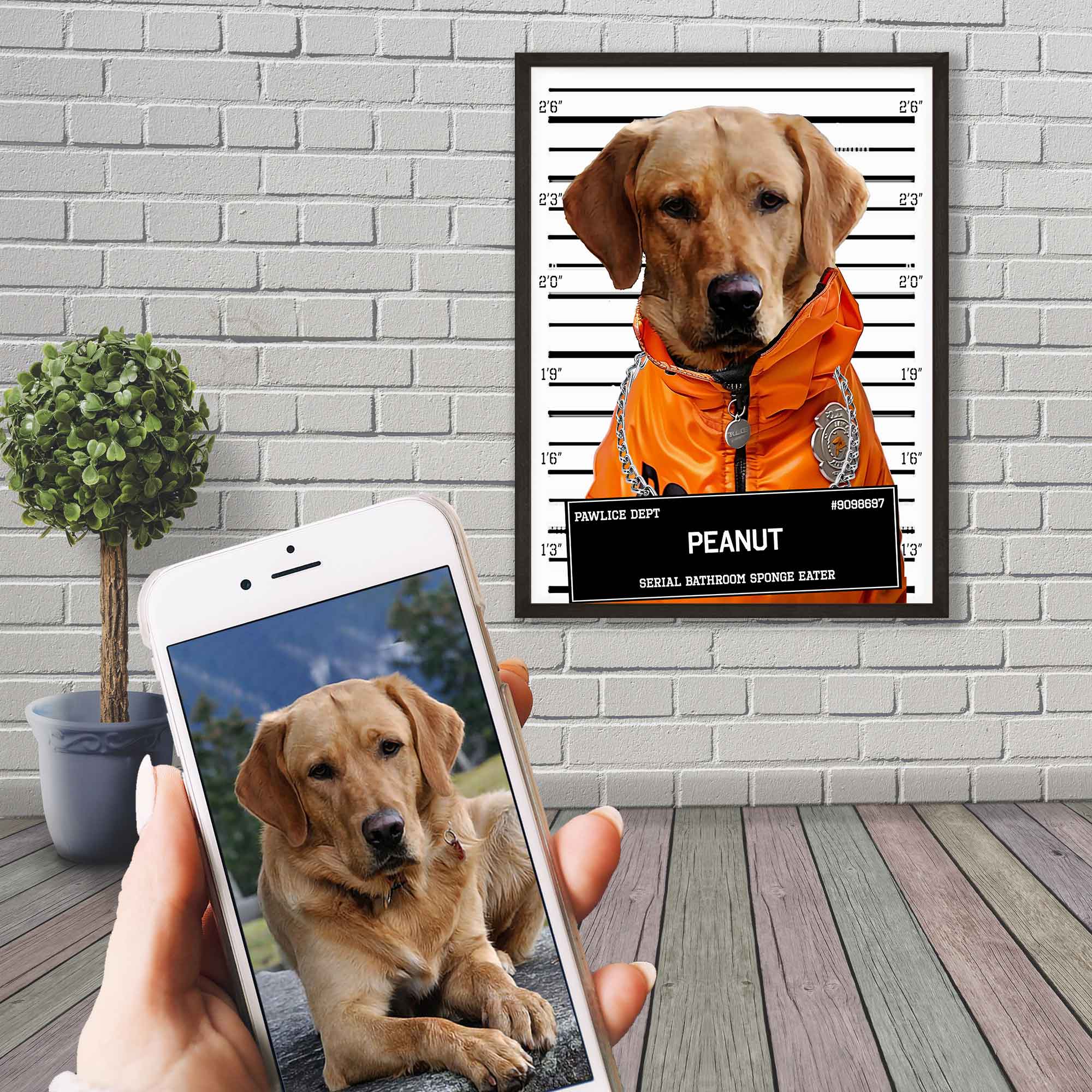 Medium Dog Police Mugshot Portrait Poster Custom Print, Pet Criminal Poster - WallArtPrints4U