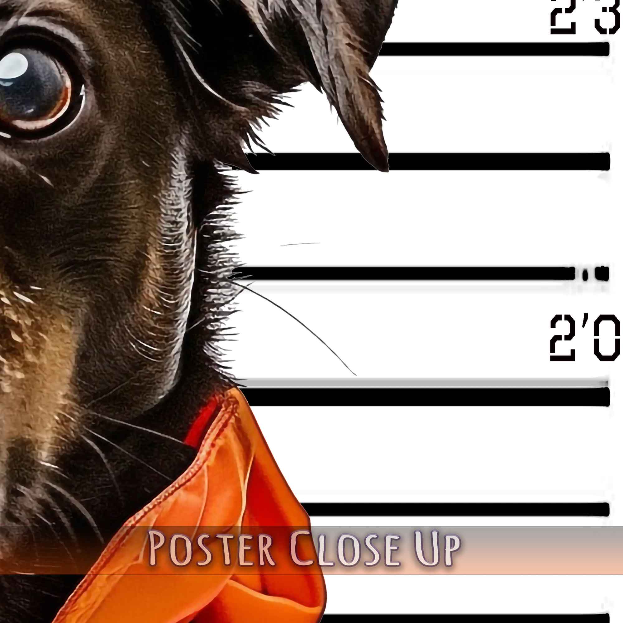 Medium Dog Police Mugshot Portrait Poster Custom Print, Pet Criminal Poster - WallArtPrints4U