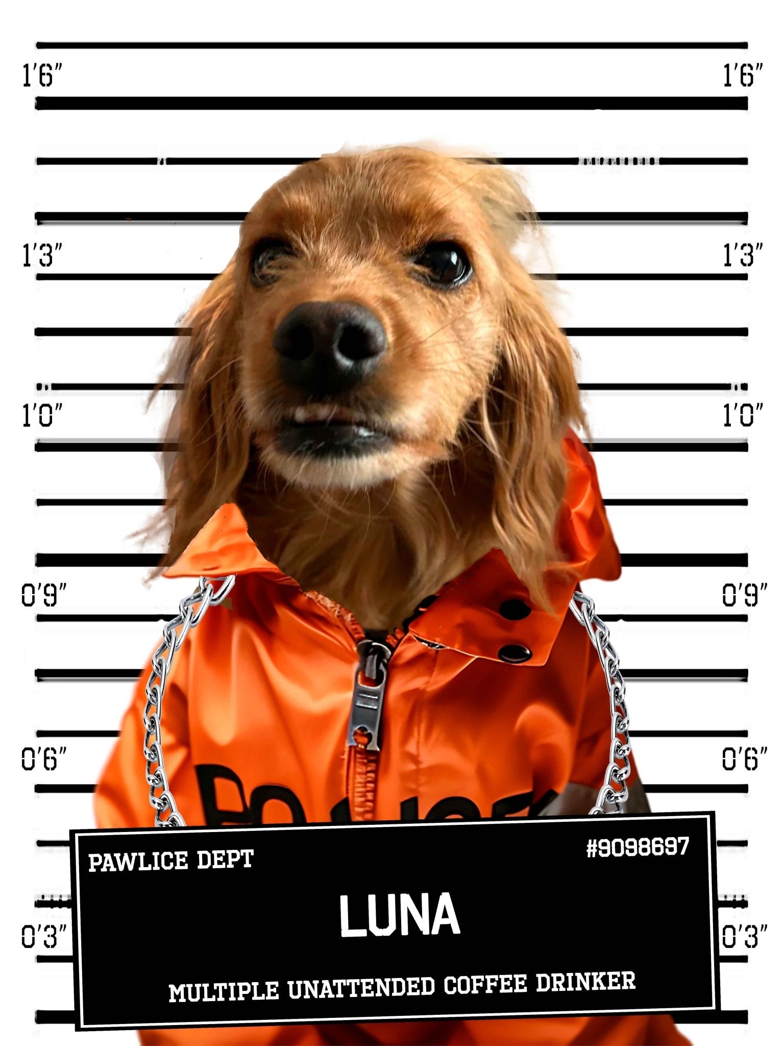 Small Dog Portrait Canvas Custom Print, Police Mugshot, Pet Criminal Canvas - WallArtPrints4U