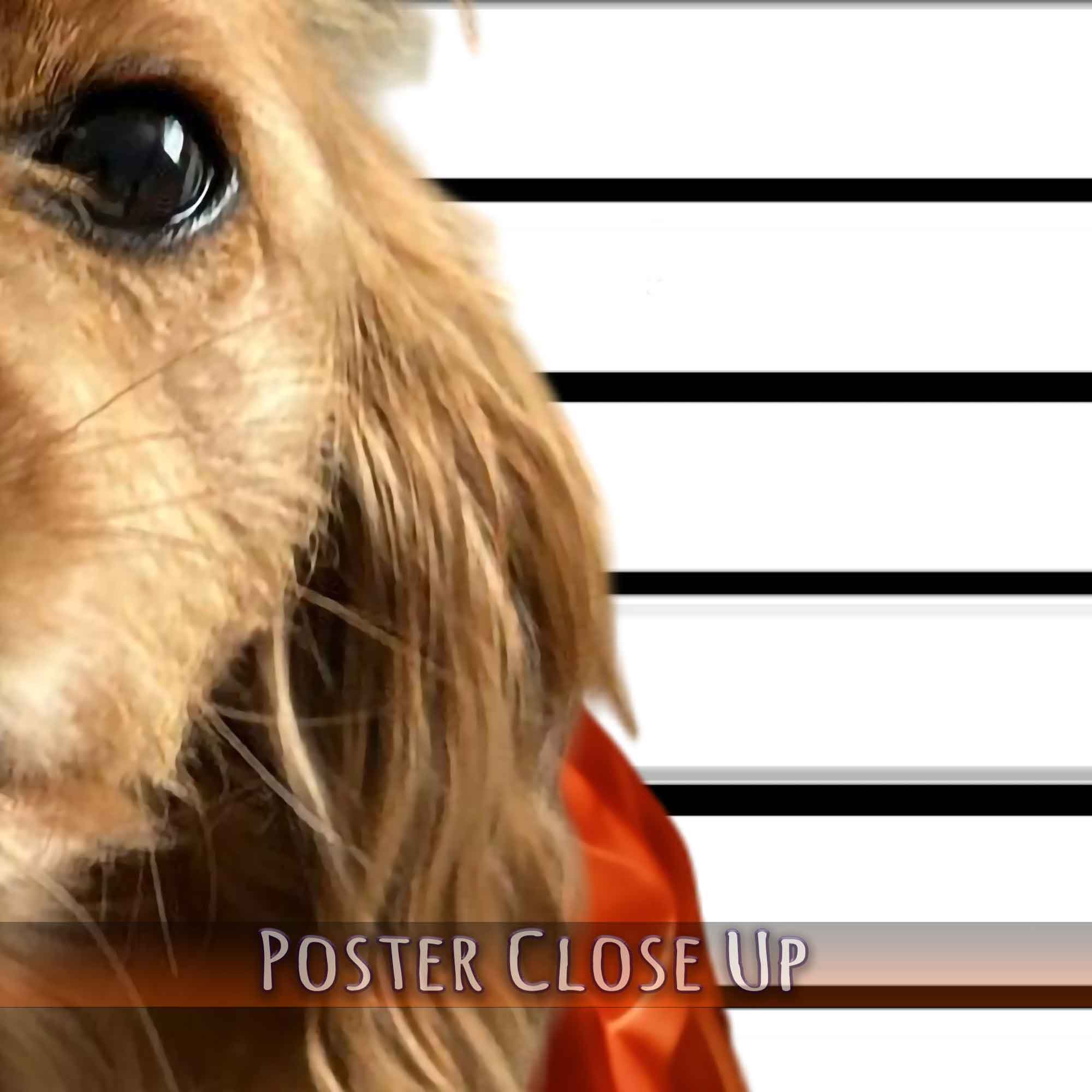 Small Dog Portrait Poster Custom Print, Police Mugshot, Pet Criminal Poster - WallArtPrints4U