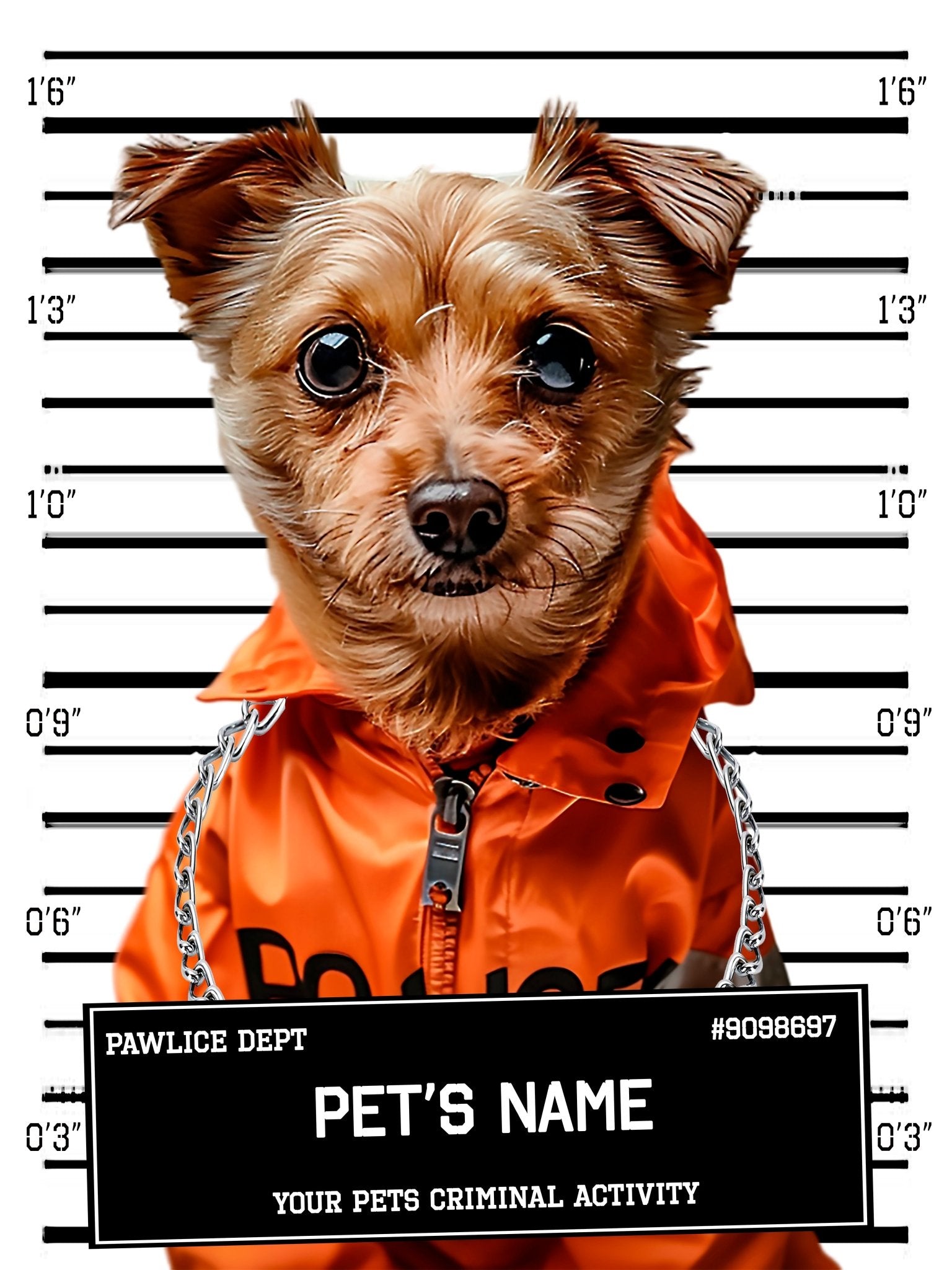 Small Dog Portrait Poster Custom Print, Police Mugshot, Pet Criminal Poster - WallArtPrints4U