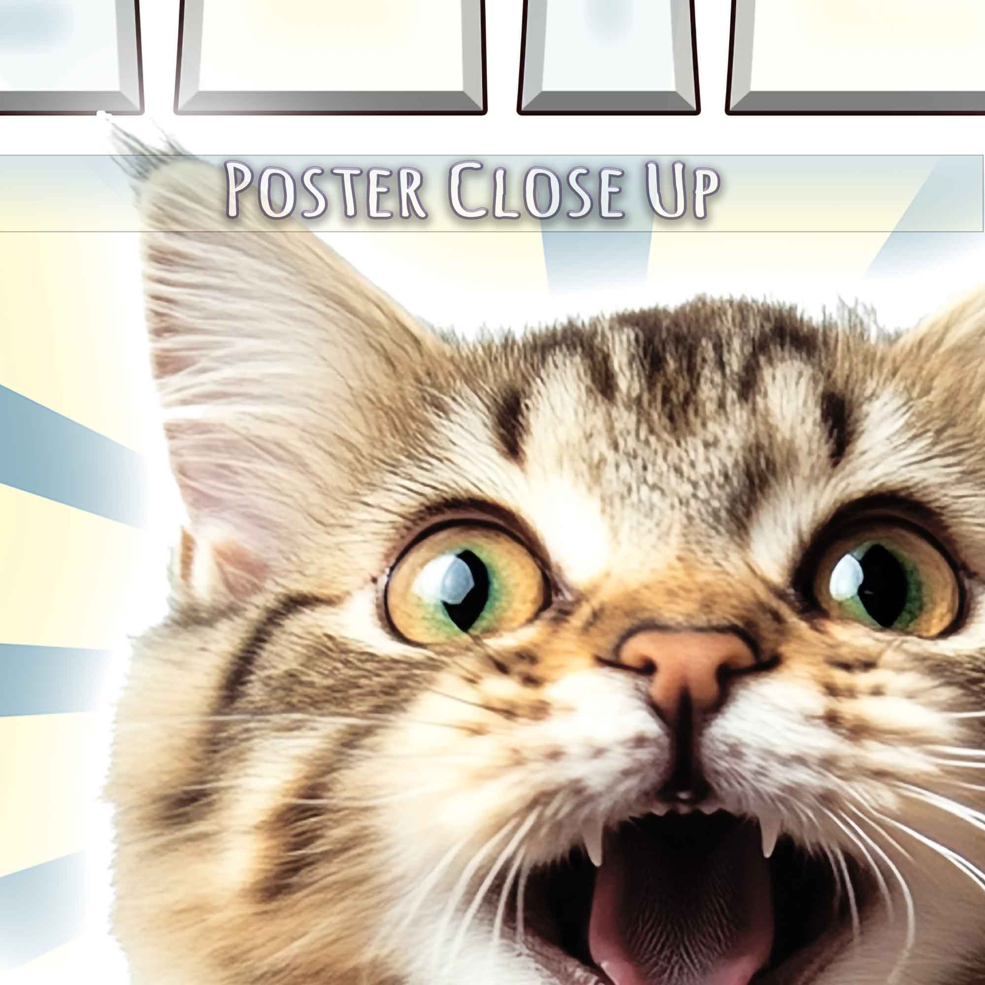 Vintage Believe Kitten Poster - Retro Inspirational Cat Art for Wall Decor - WallArtPrints4U