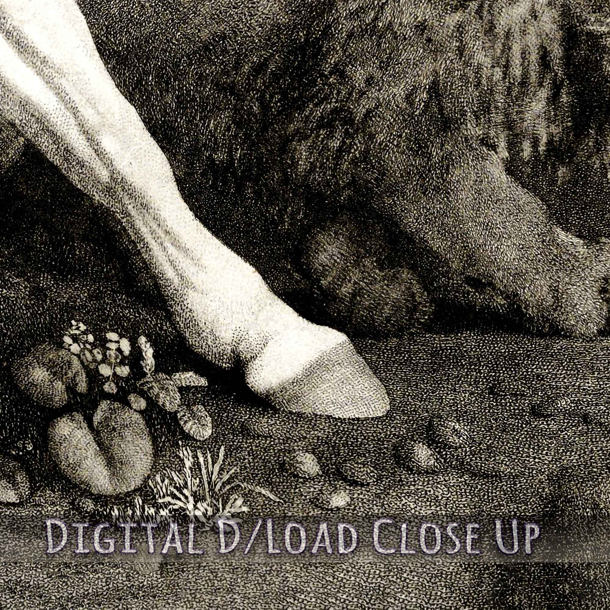 Vintage Frightened Horse Digital Download, A Horse Affrighted By A Lion - George Stubbs Printable D/load - WallArtPrints4U