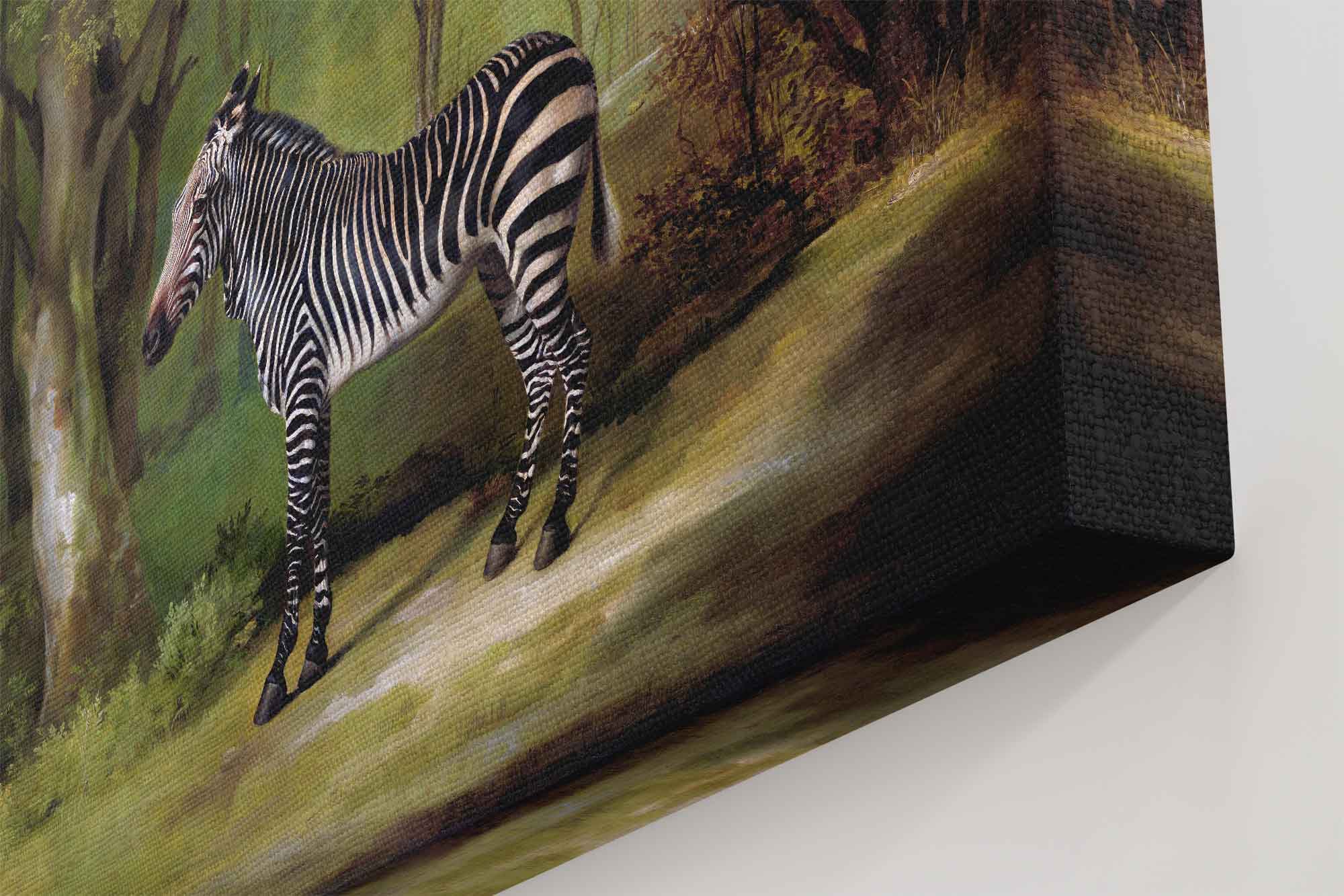 Zebra Canvas, Vintage Zebra Art - Vintage Zebra Canvas Print - WallArtPrints4U