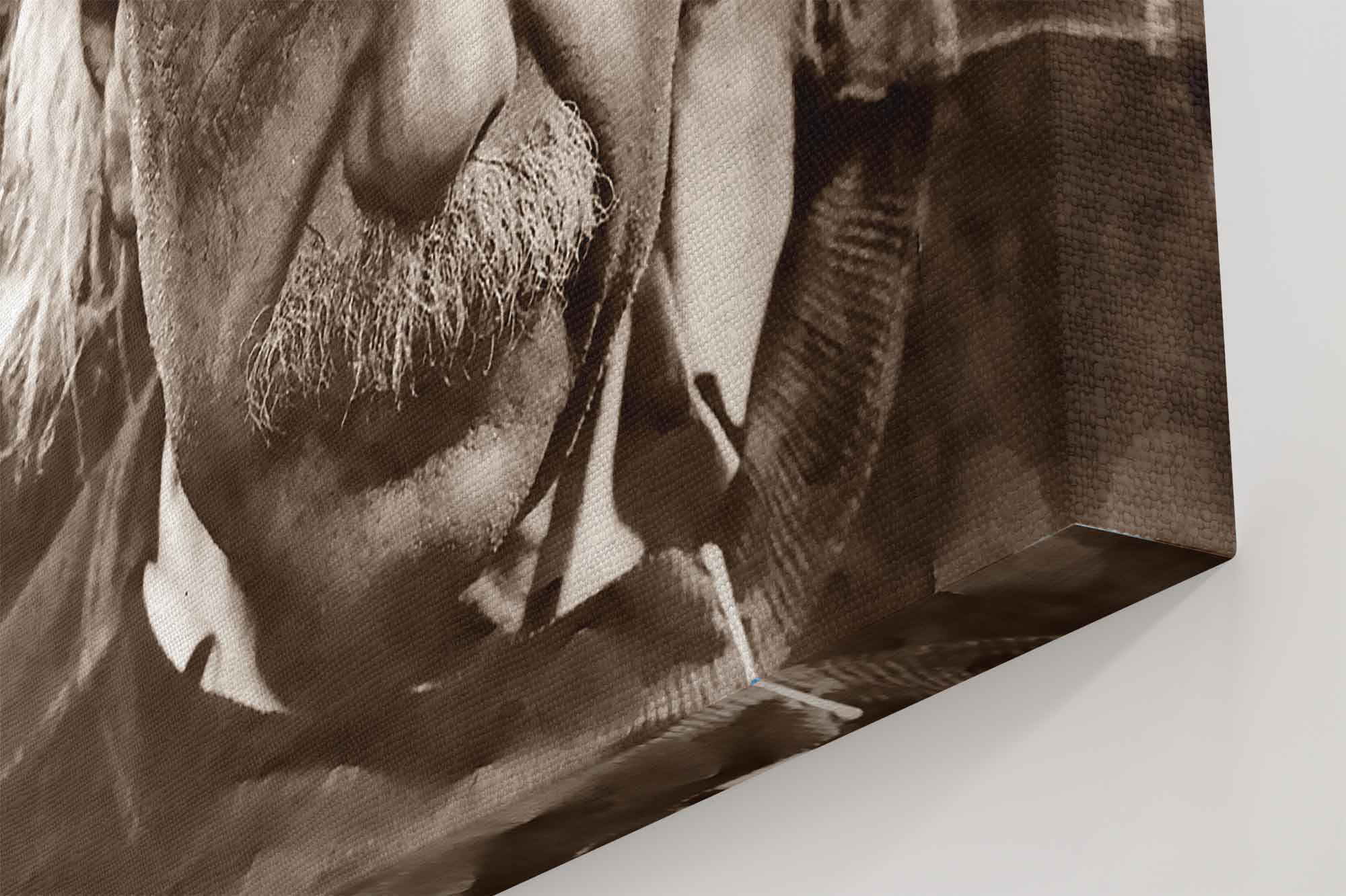 Albert Einstein Canvas, Relativity Father Of Physics, Vintage Photo - Iconic Albert Einstein Canvas Print - WallArtPrints4U