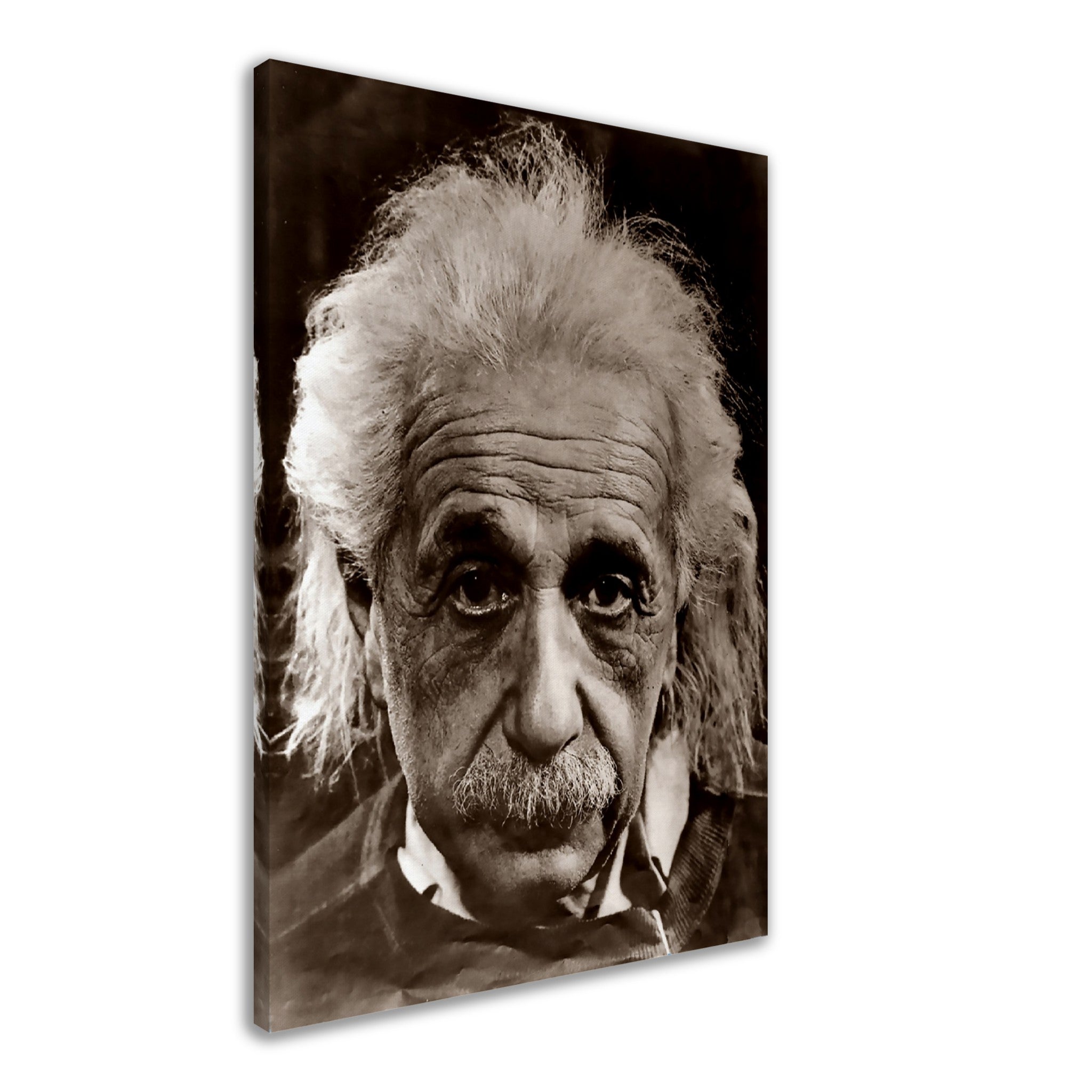 Albert Einstein Canvas, Relativity Father Of Physics, Vintage Photo -