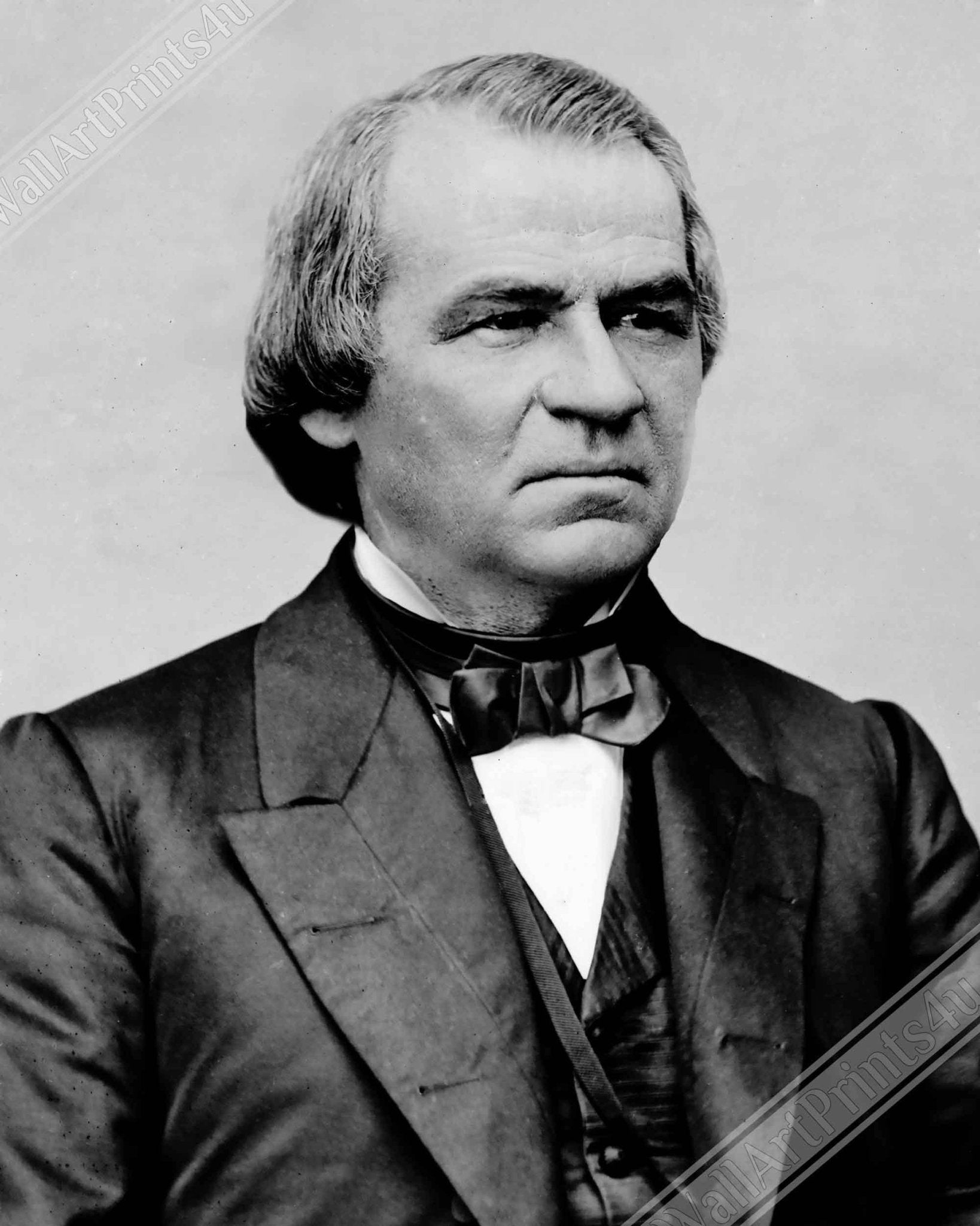 Andrew Johnson Framed, 17th President Of Usa, Vintage Photo Portrait - Andrew Johnson Framed Print - WallArtPrints4U