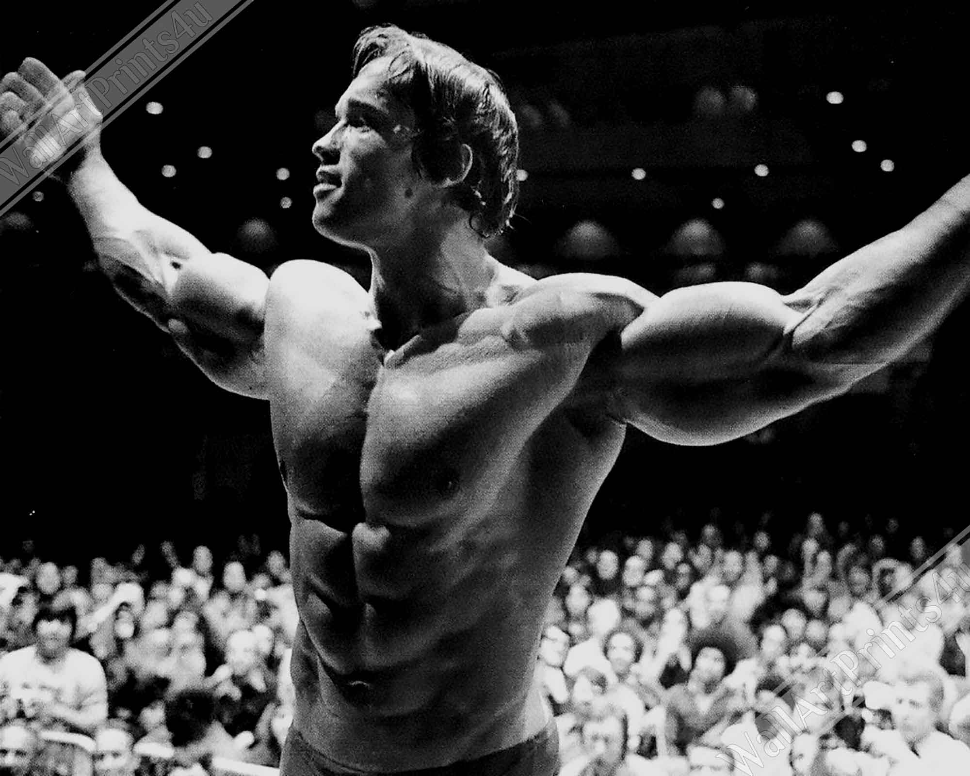 Arnold Schwarzenegger Framed Print, Seven Time Mr Olympia, Vintage Photo Portrait, Arnold Schwarzenegger Print - WallArtPrints4U