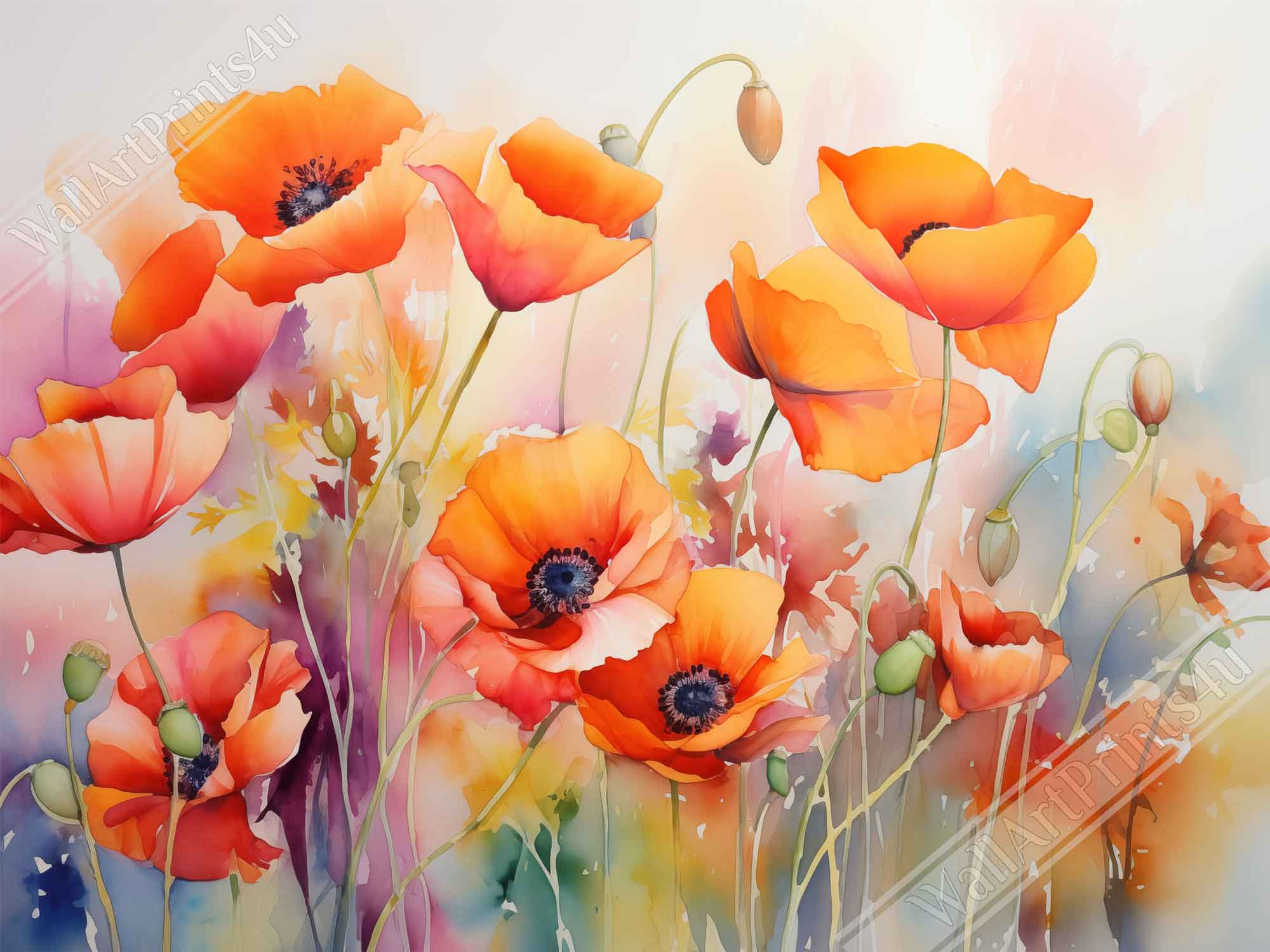 Beautiful Watercolour Poppies Poster Print - WallArtPrints4U